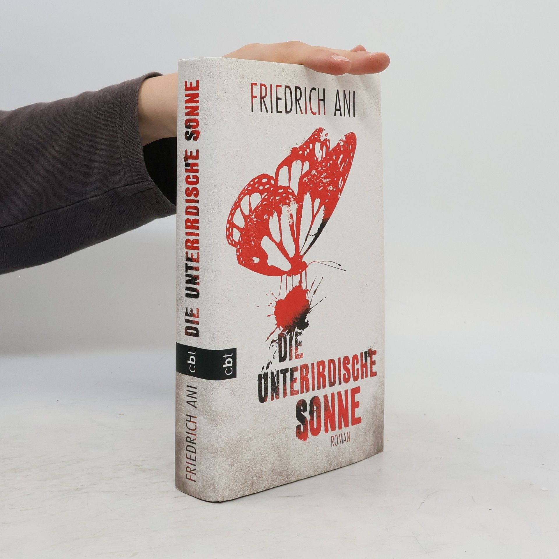 Friedrich Ani Die unterirdische Sonne