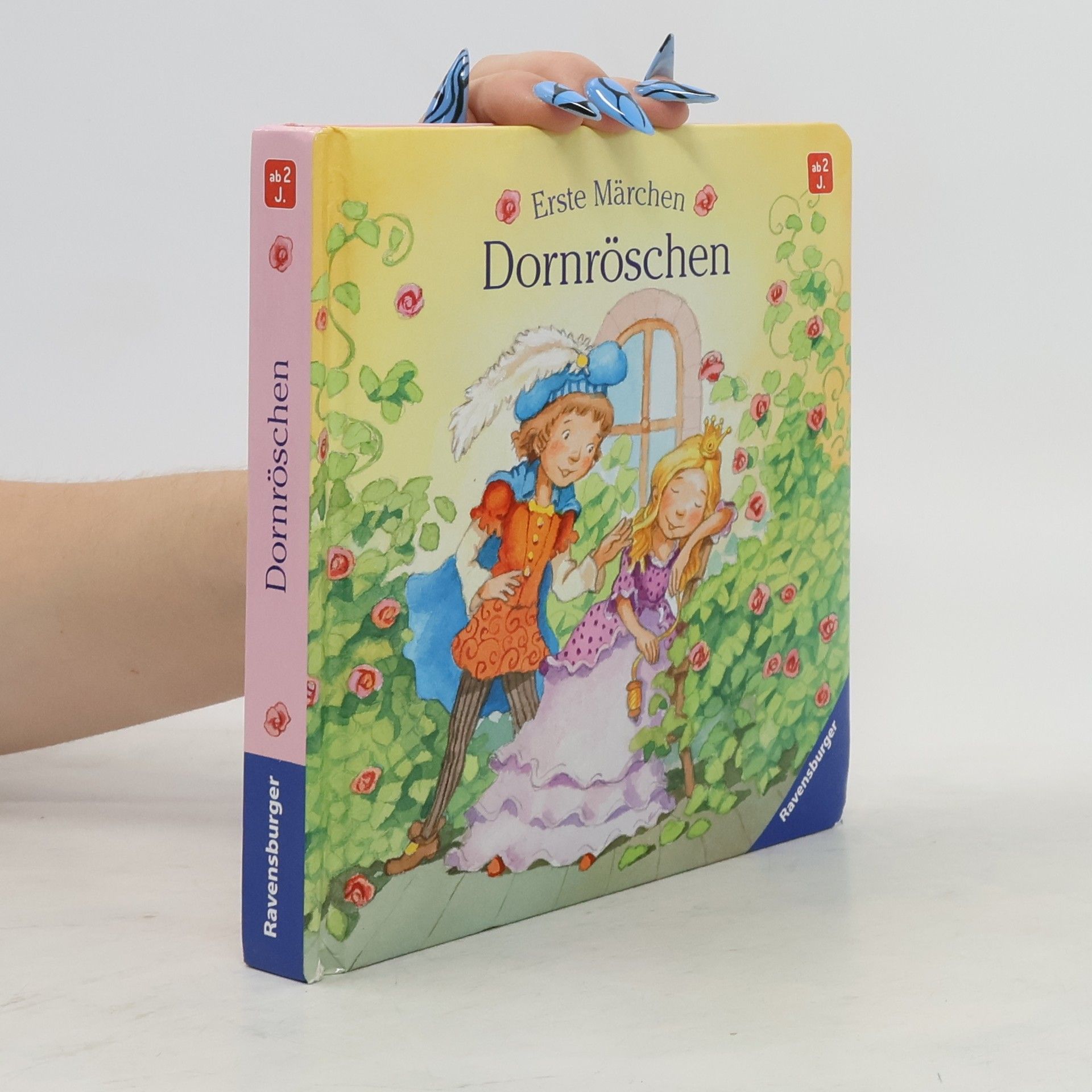 Autorenkollektiv Dornröschen