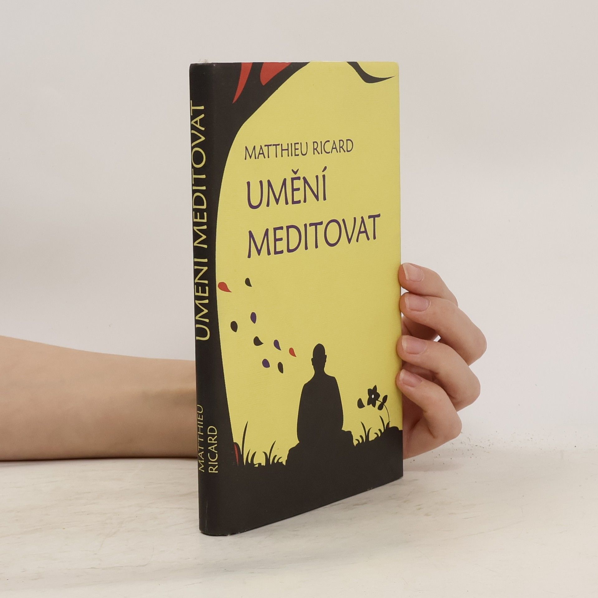 Matthieu Ricard Umění meditovat