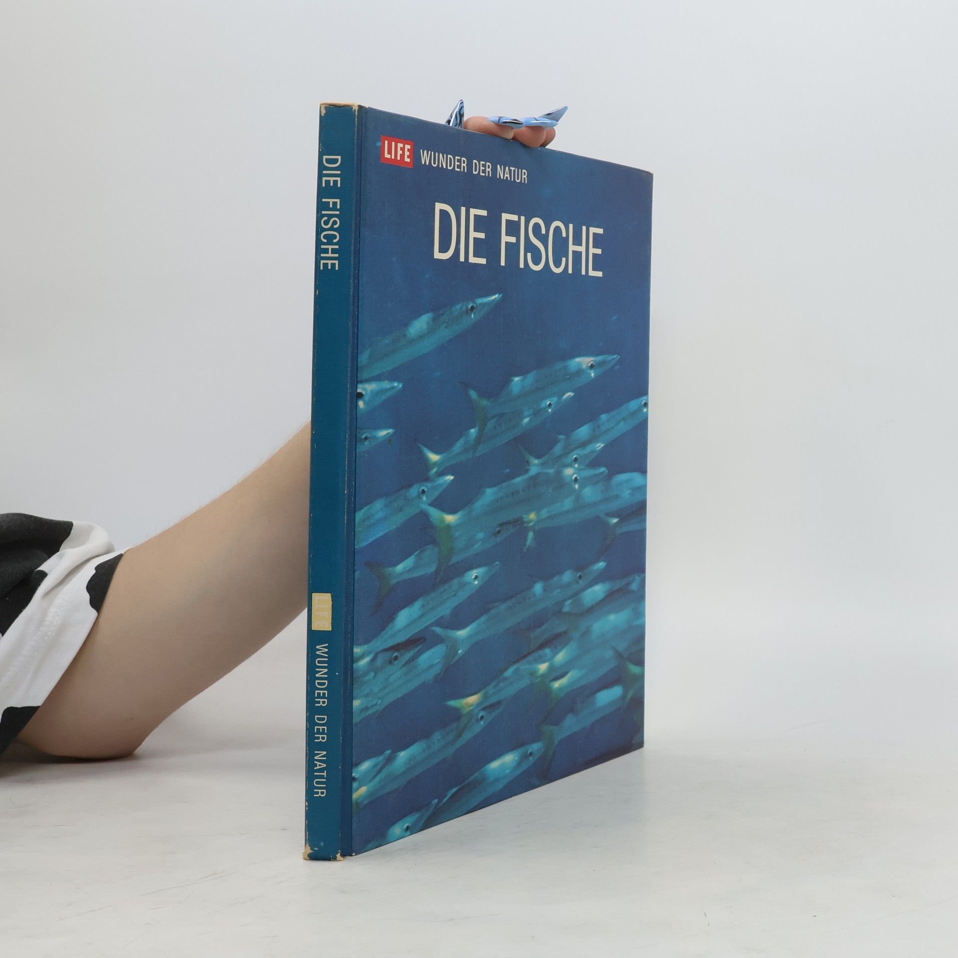 Autores varios Die Fische