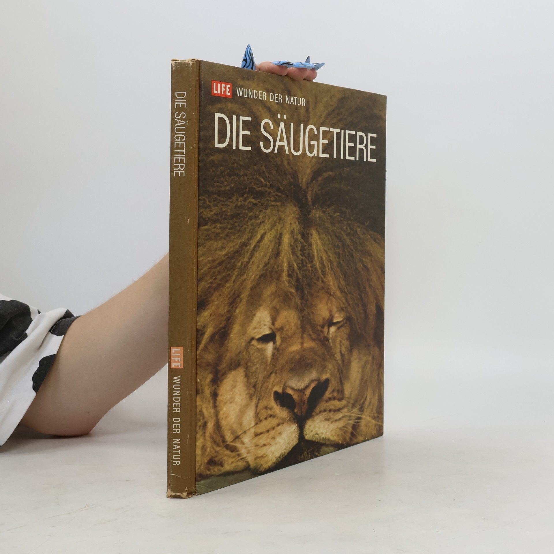 Collectif d'auteurs Die Säugetiere