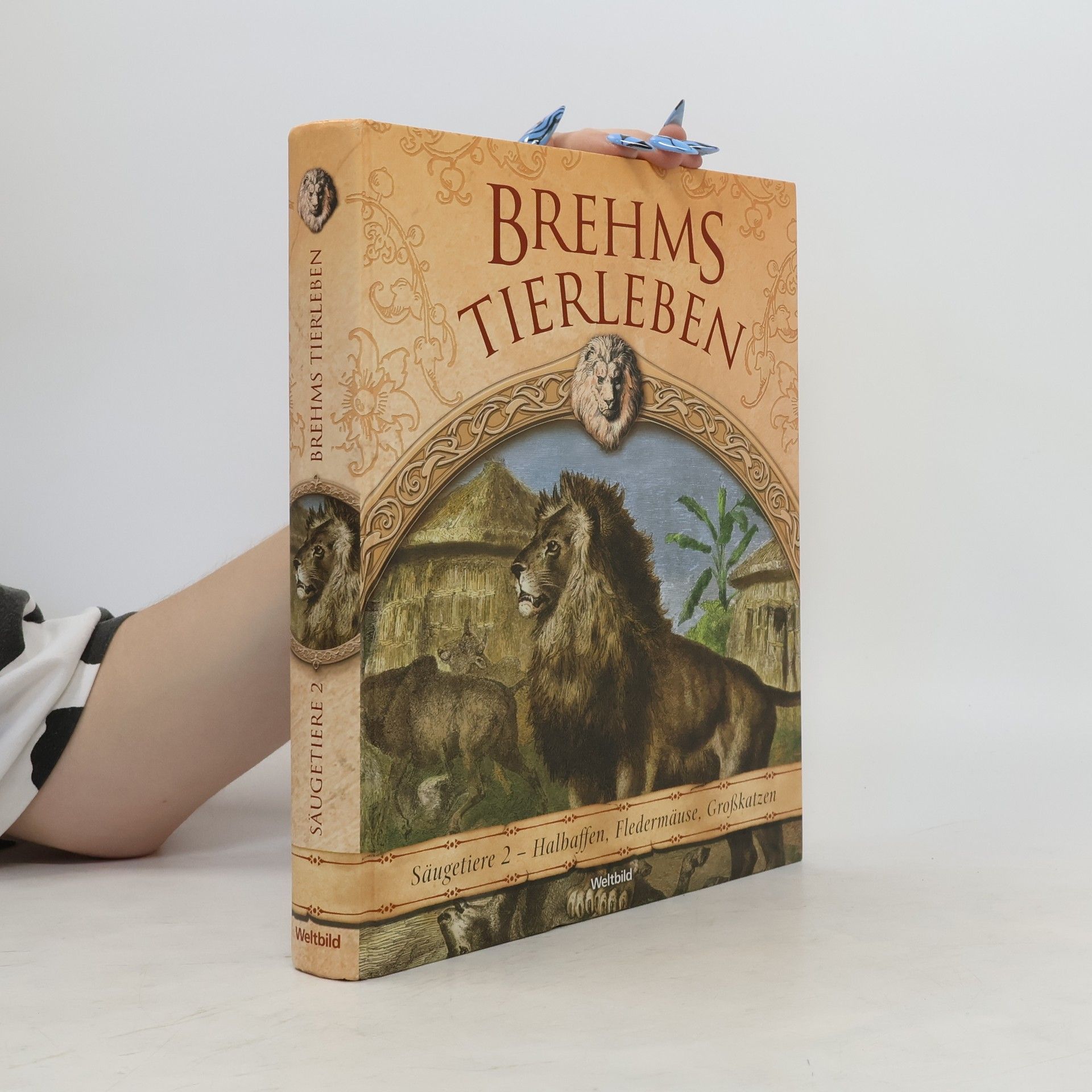 Autorenkollektiv Brehms Tierleben. Säugetiere 2
