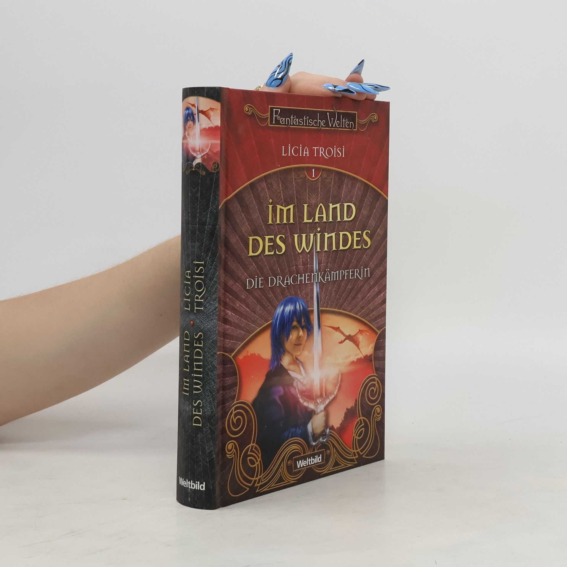 Licia Troisi Die Drachenkämpferin. Im Land des Windes
