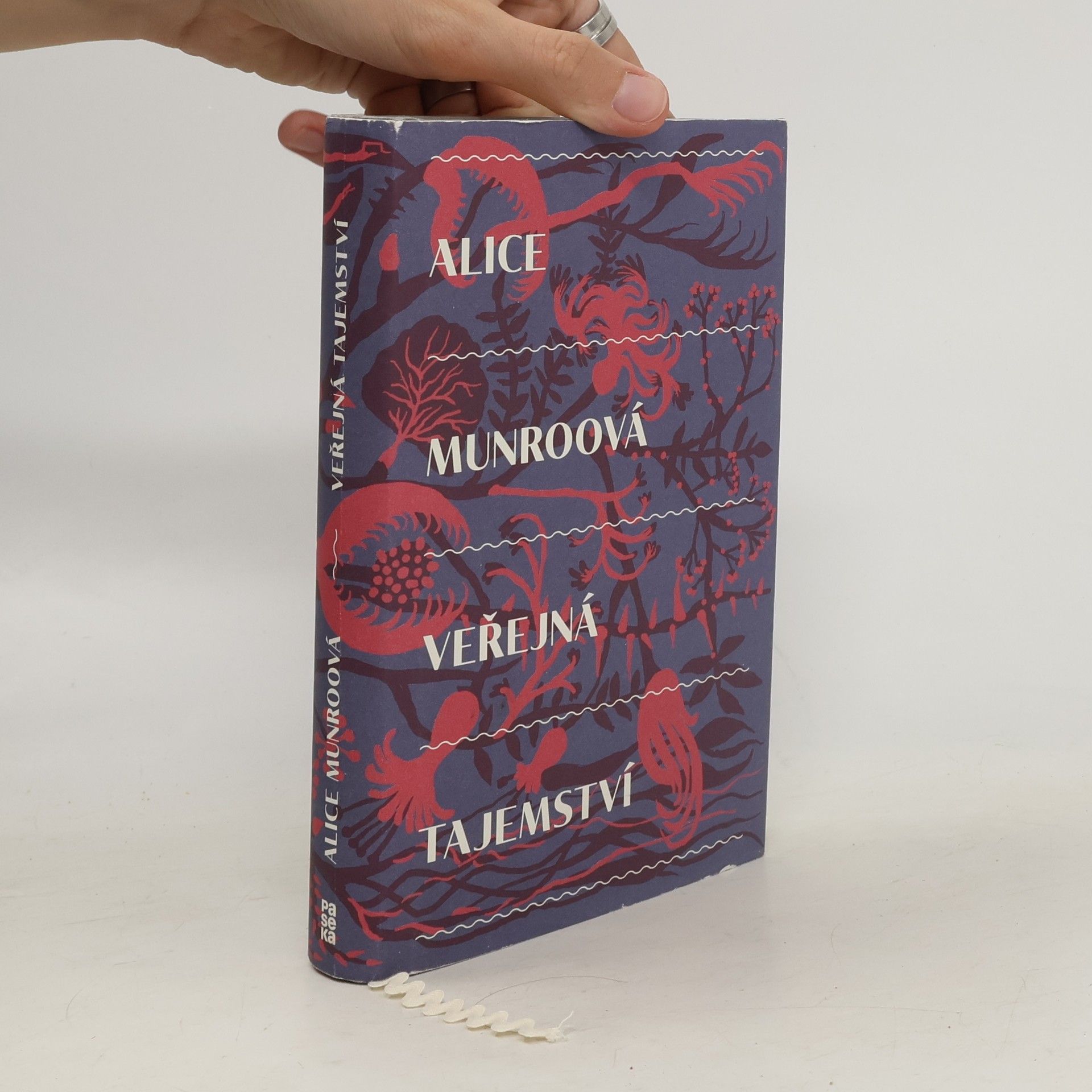 Alice Munro Veřejná tajemství
