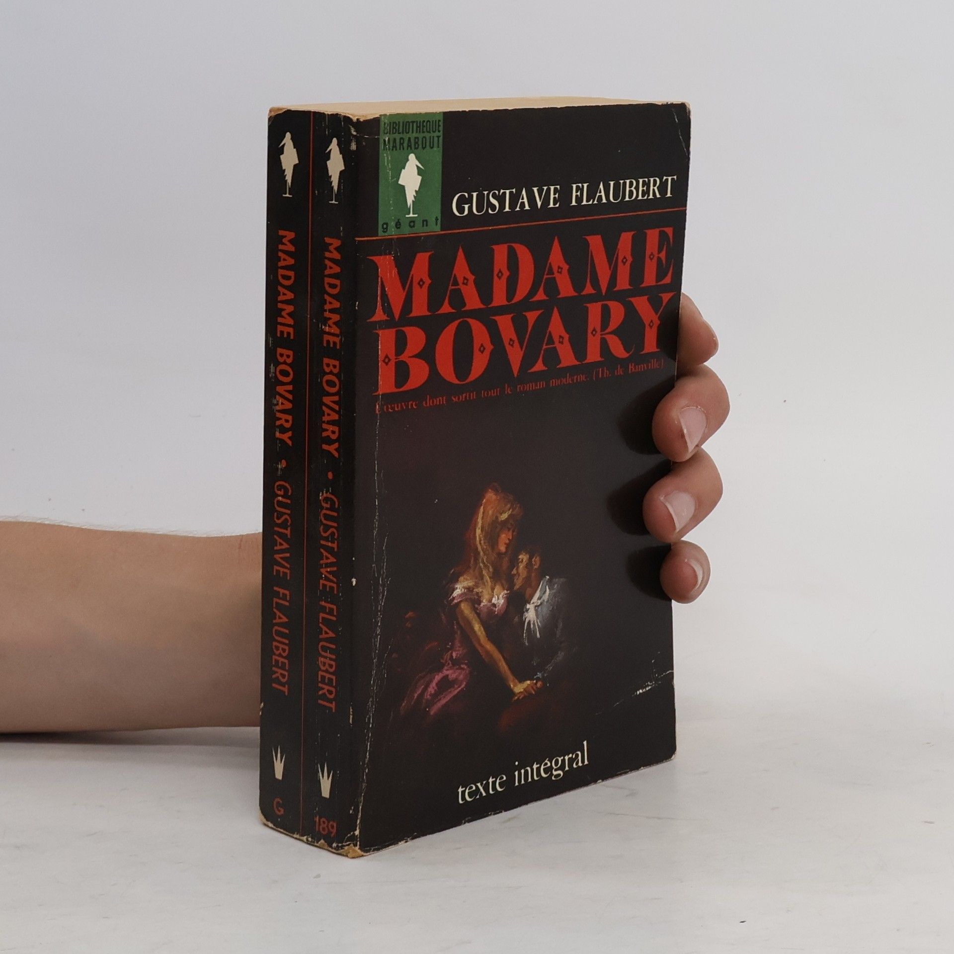 Gustave Flaubert Madame Bovary