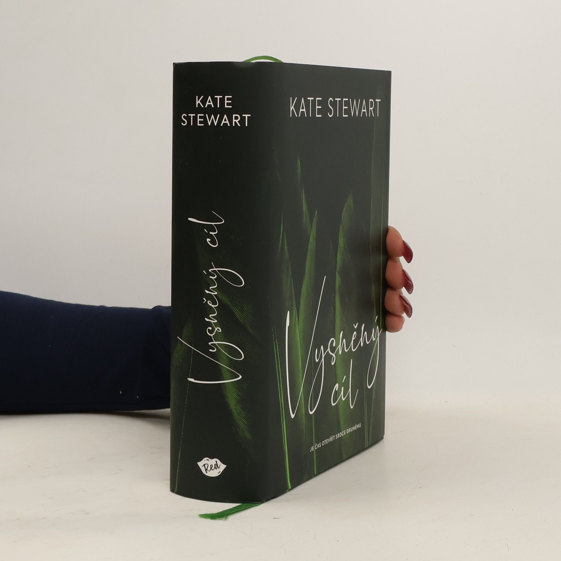 Kate Stewart Vysněný cíl. Kniha třetí