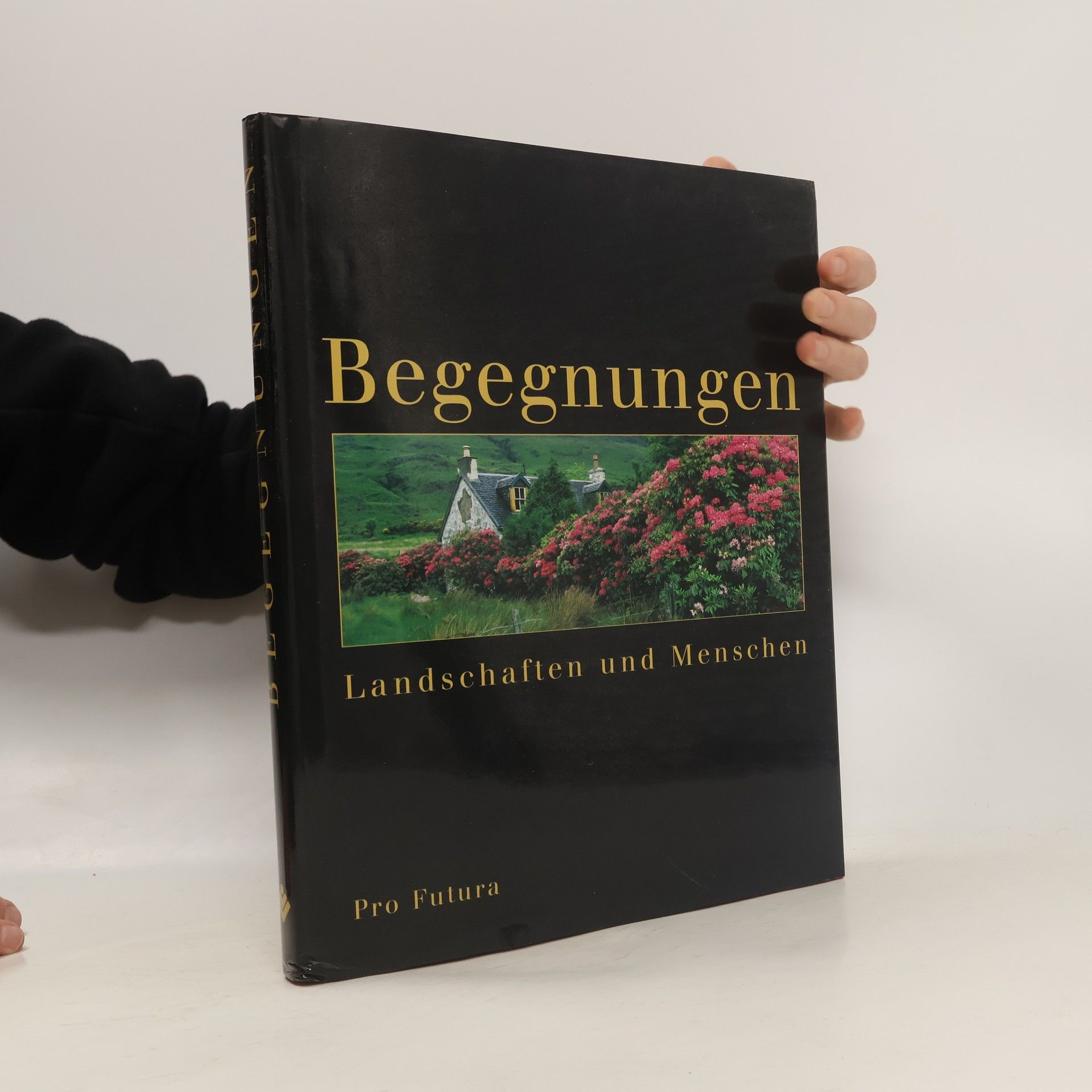 Various authors Begegnungen