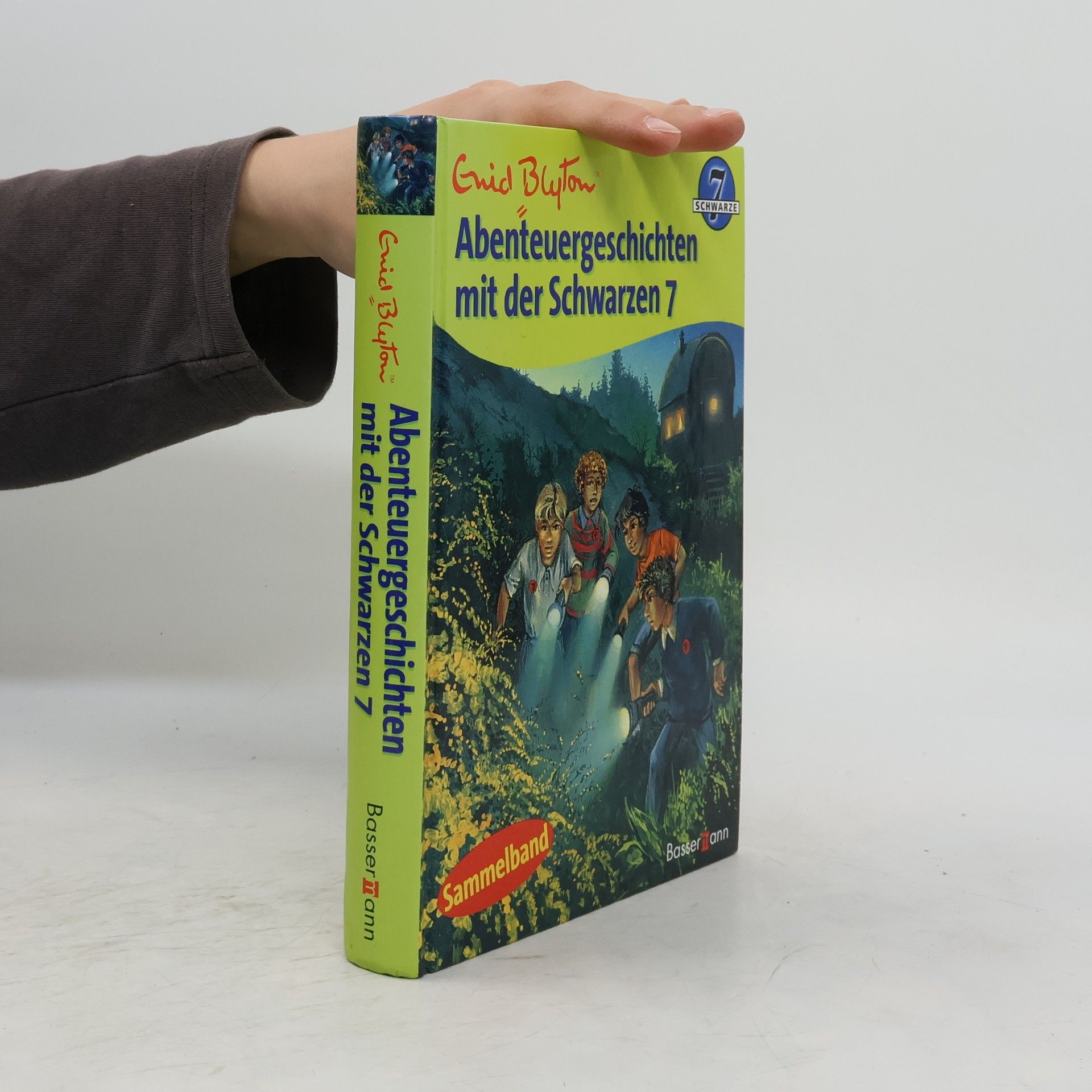 Enid Blyton Abenteuergeschichten mit der Schwarzen 7
