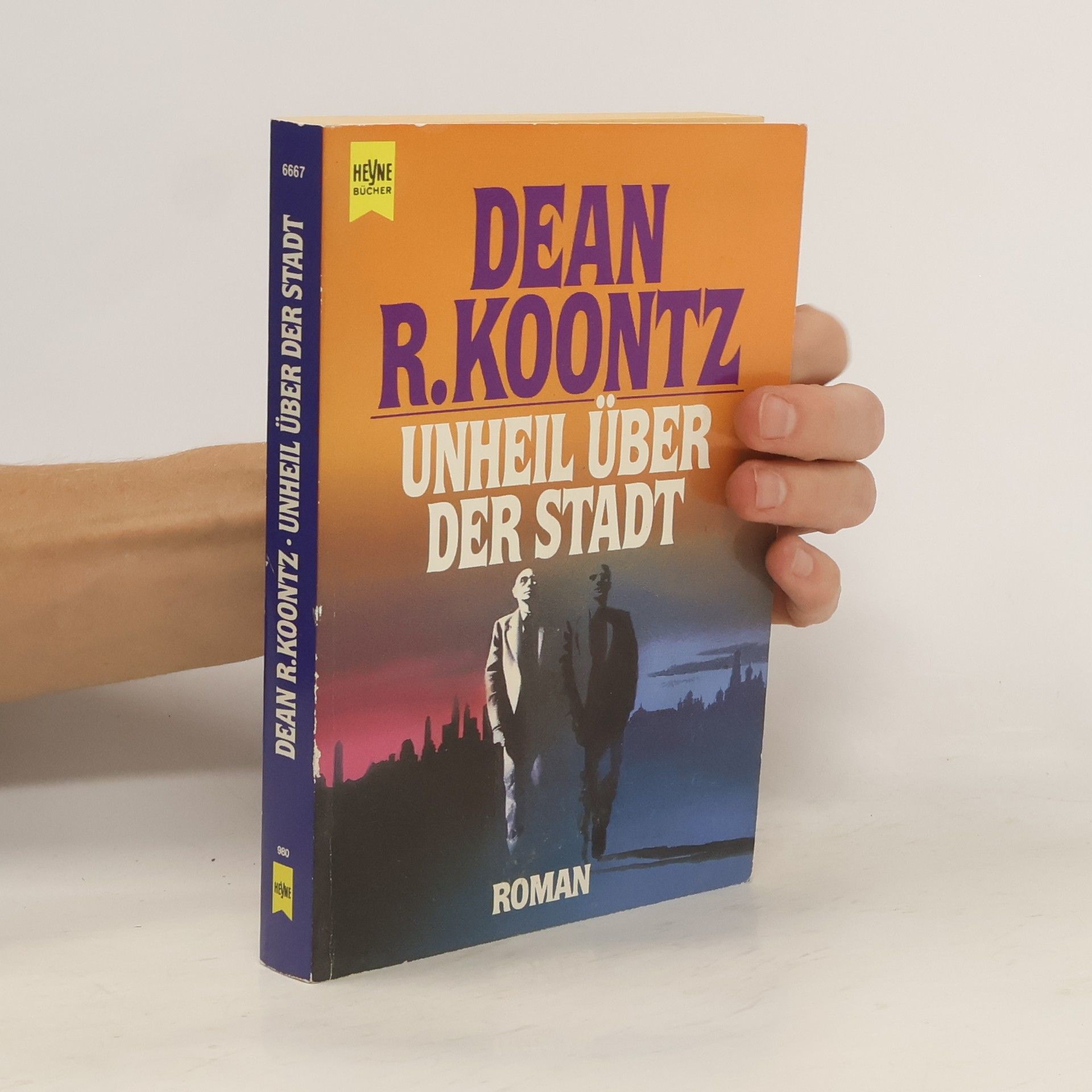 Dean R. Koontz Unheil über der Stadt