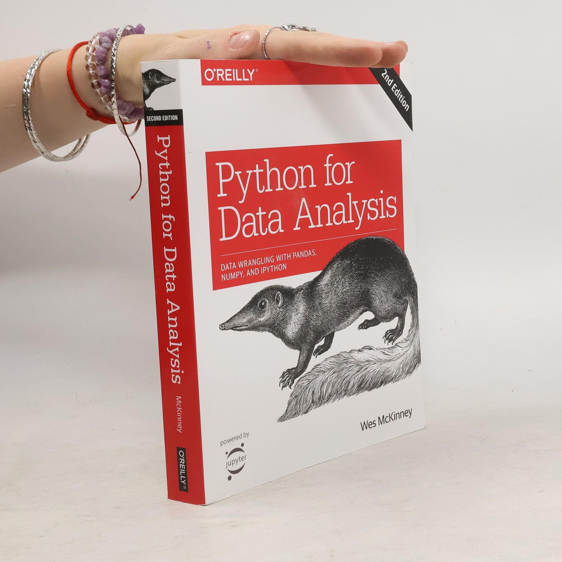 Wes McKinney Python for Data Analysis