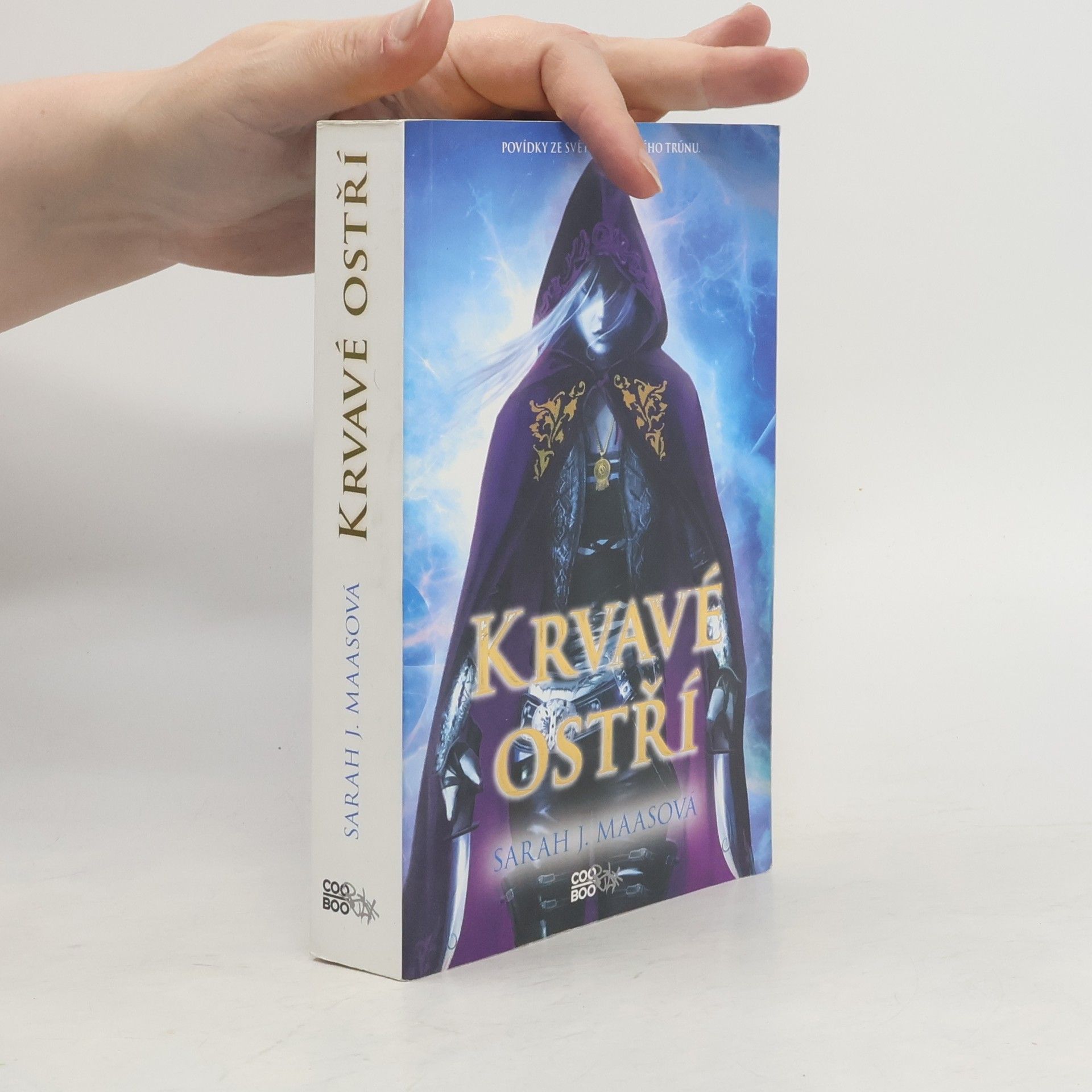 Sarah J. Maas Krvavé ostří