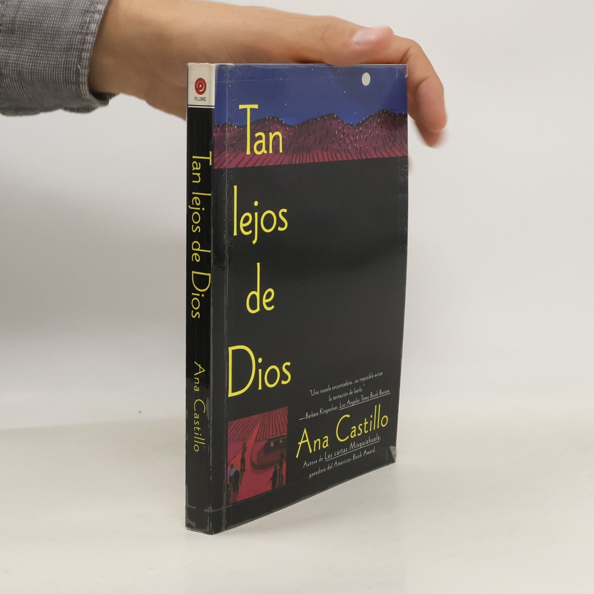 Ana Castillo Tan lejos de Dios