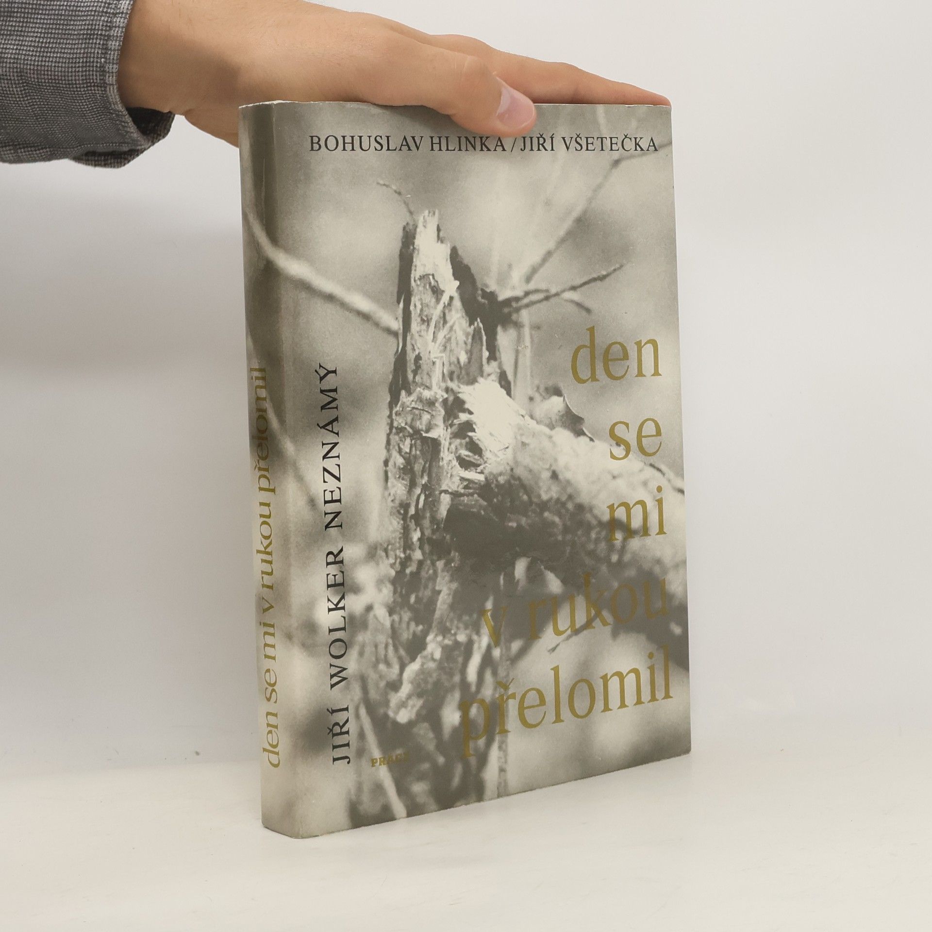 Den se mi v rukou přelomil