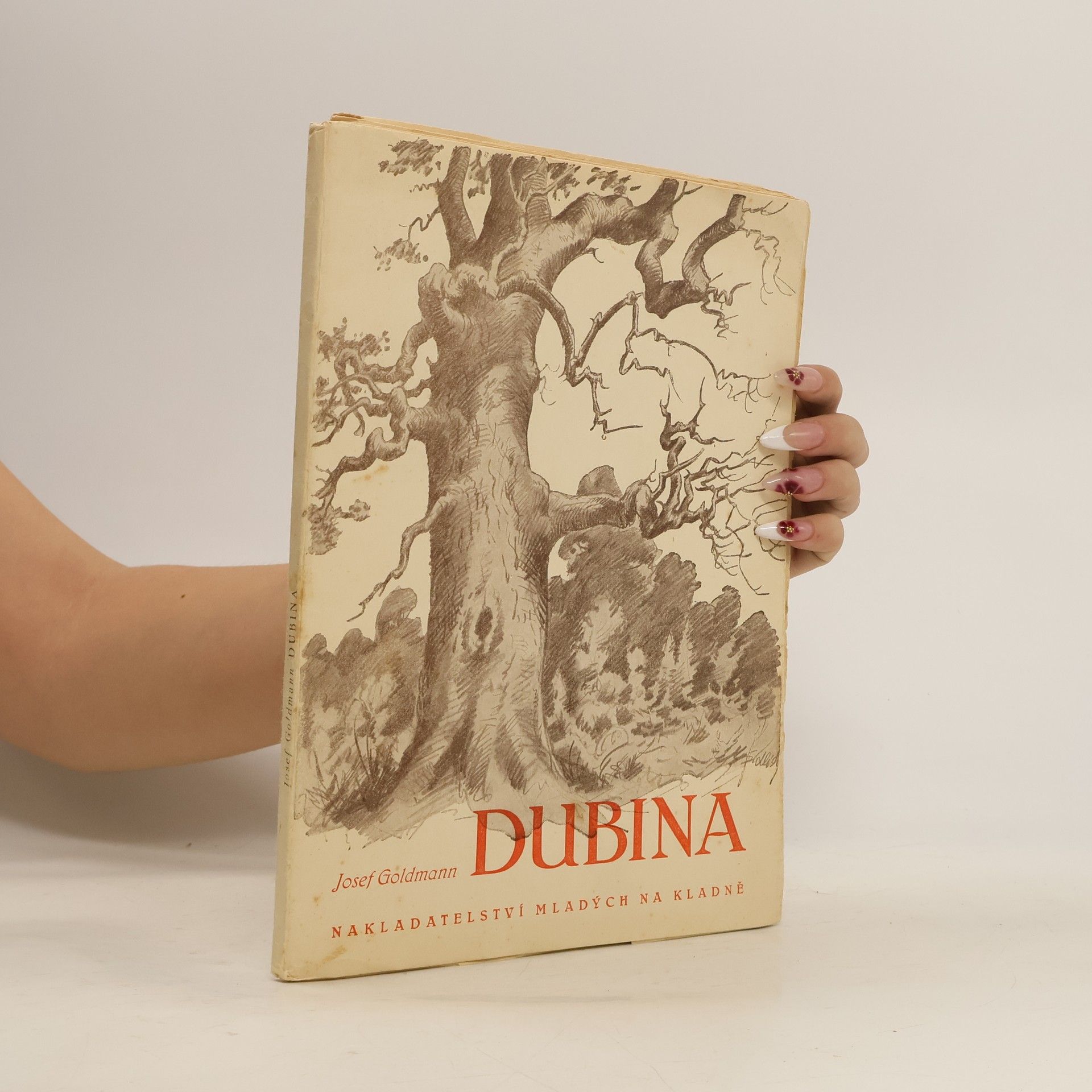 Josef Goldmann Dubina