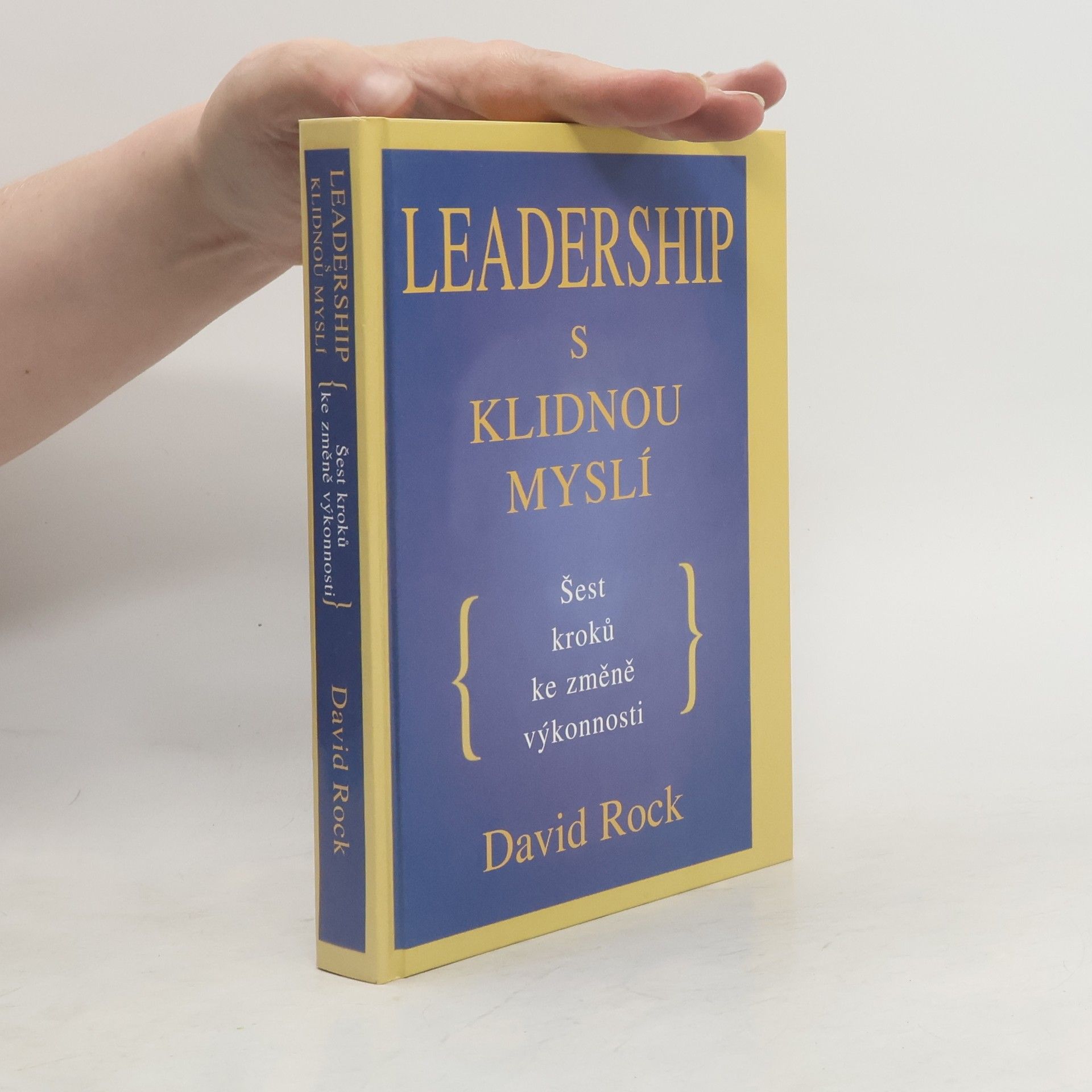 David Rock Leadership s klidnou myslí