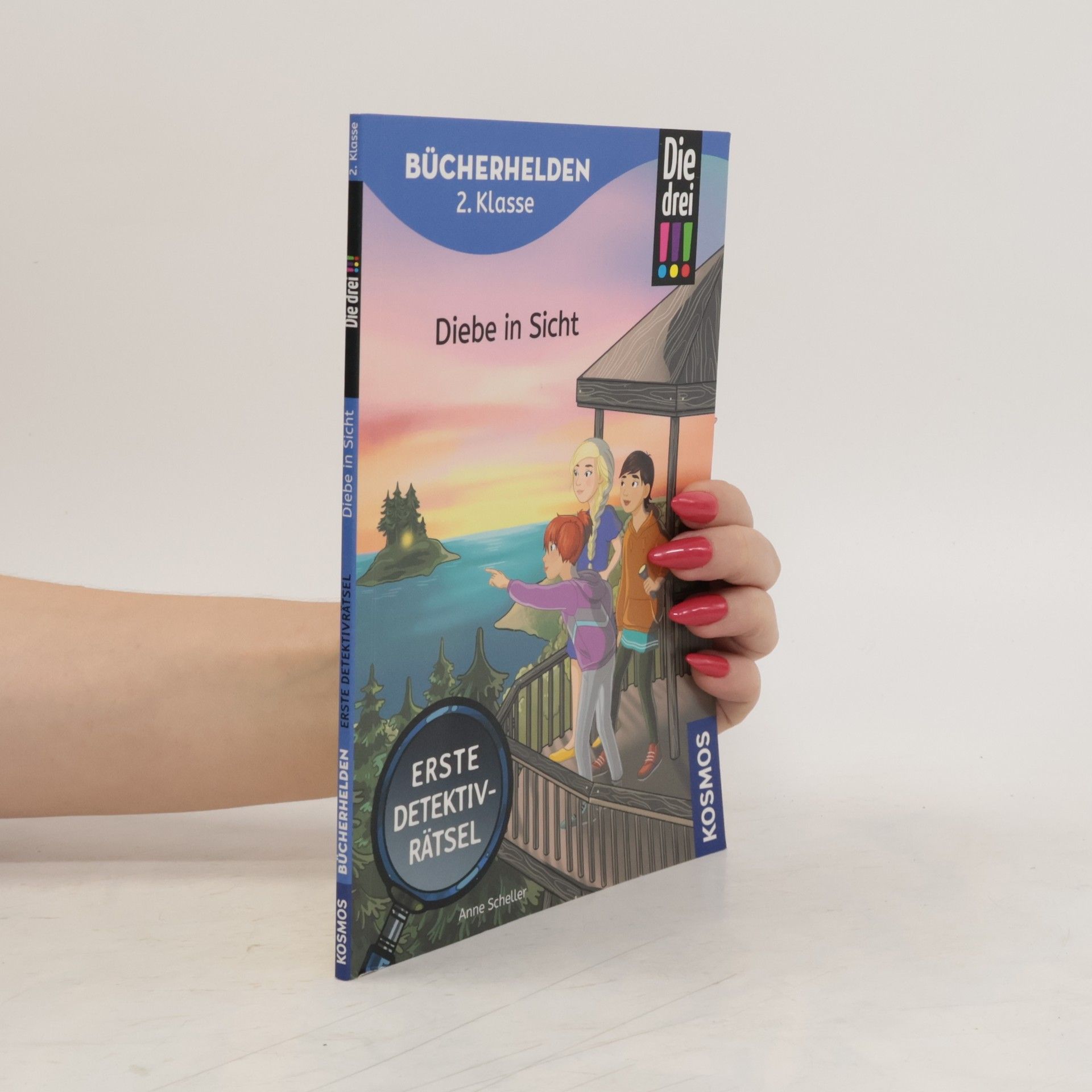 Anne Scheller Die drei !!!, Bücherhelden 2. Klasse, Diebe in Sicht