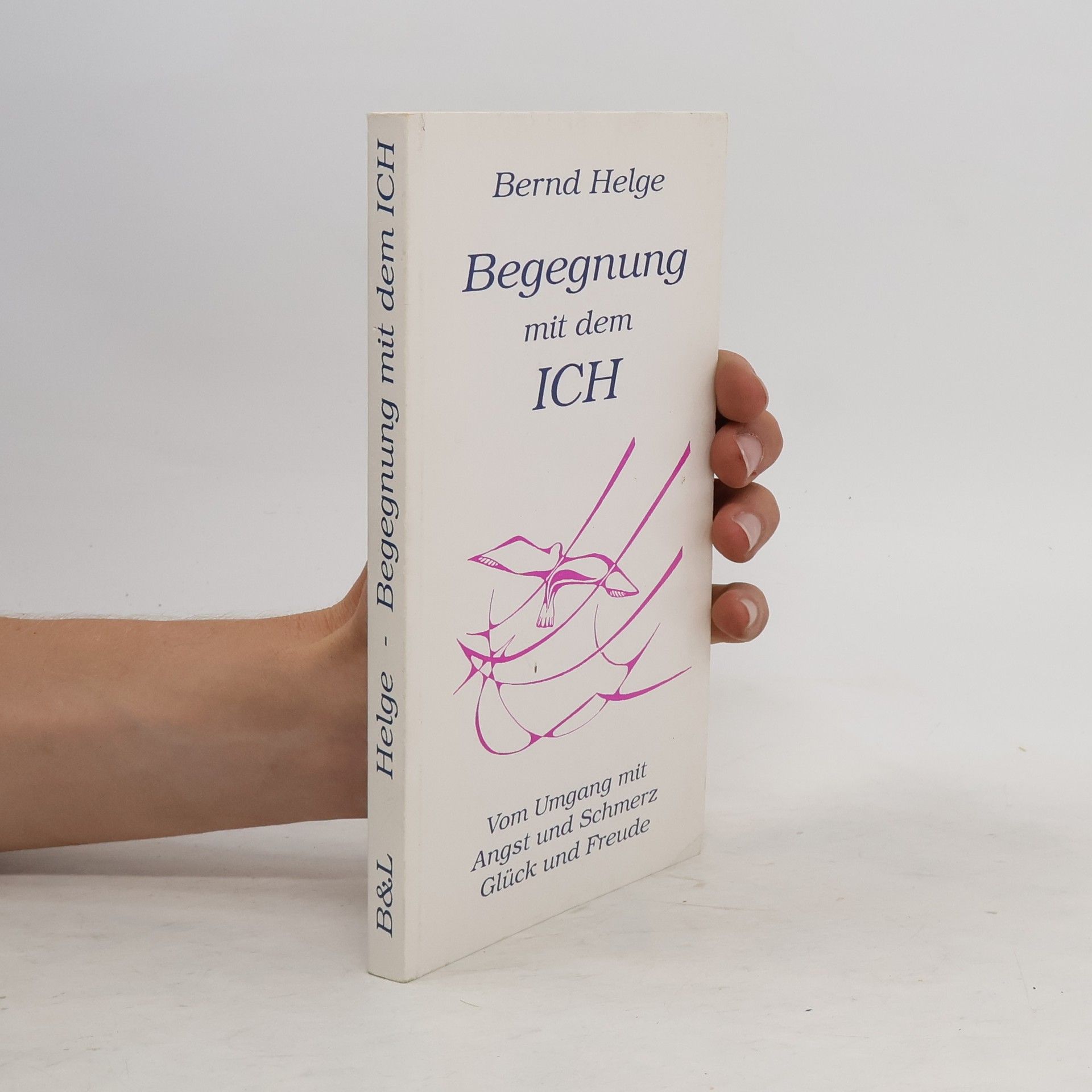 Die Begegnung mit dem Ich