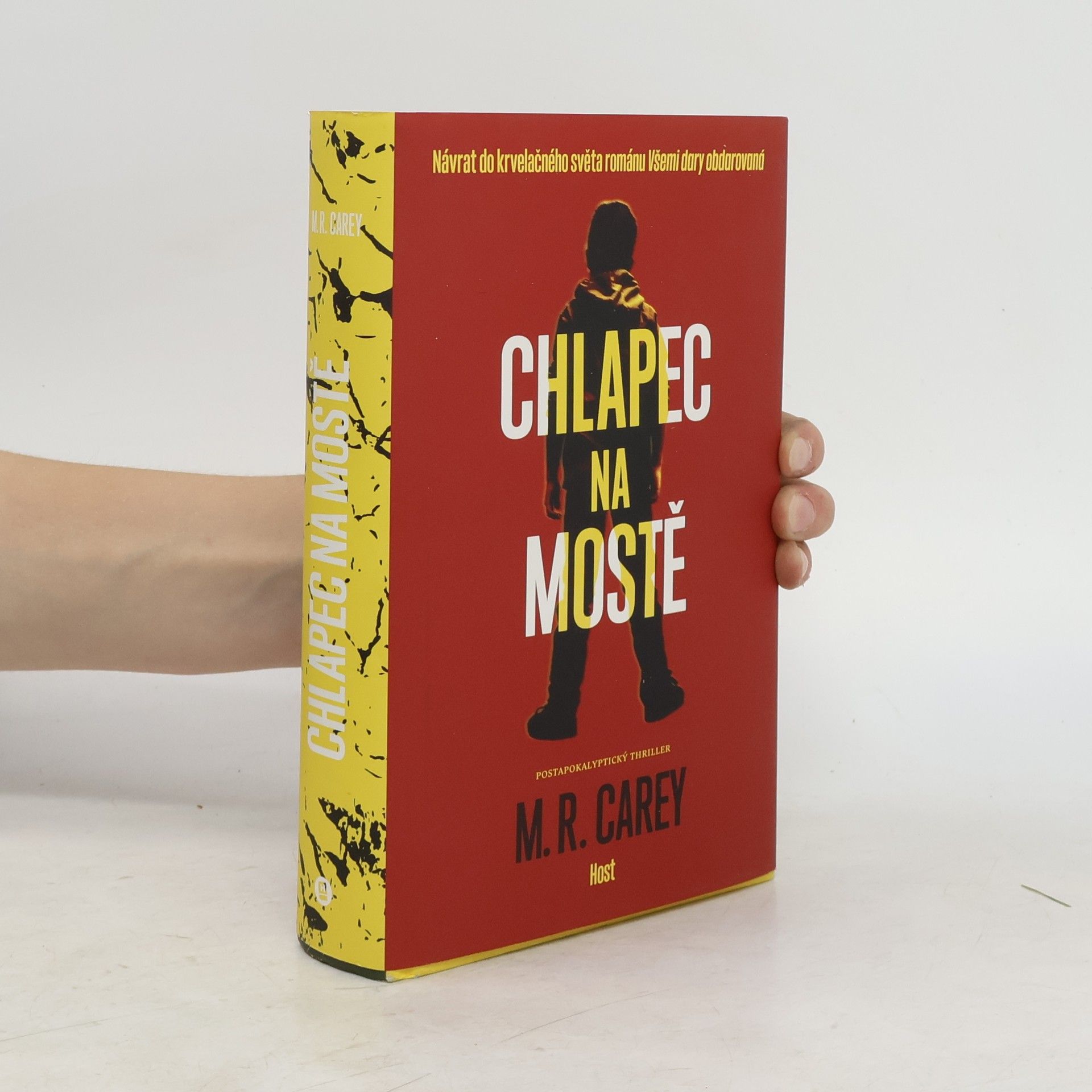 M. R. Carey Chlapec na mostě