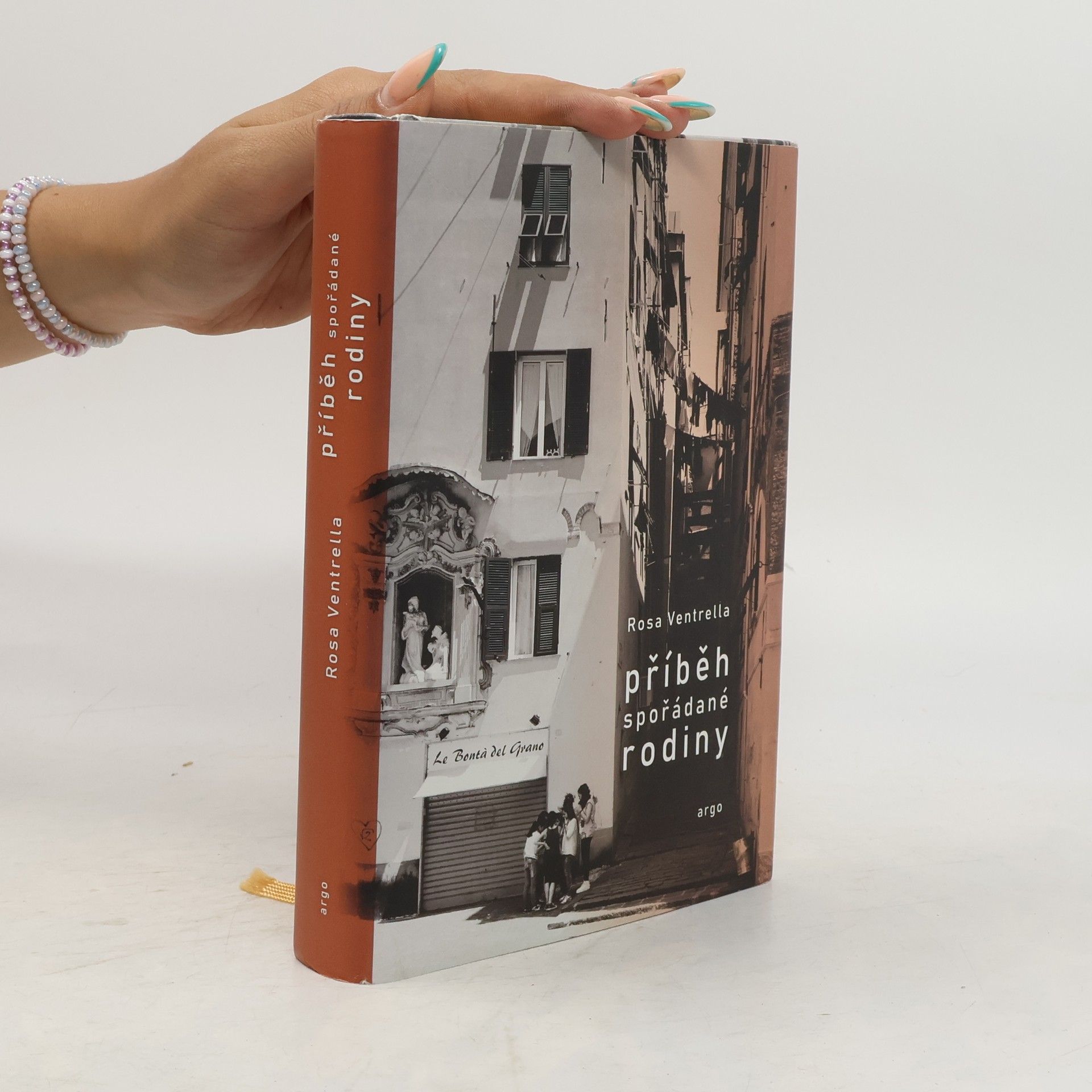 Rosa Ventrella Příběh spořádané rodiny
