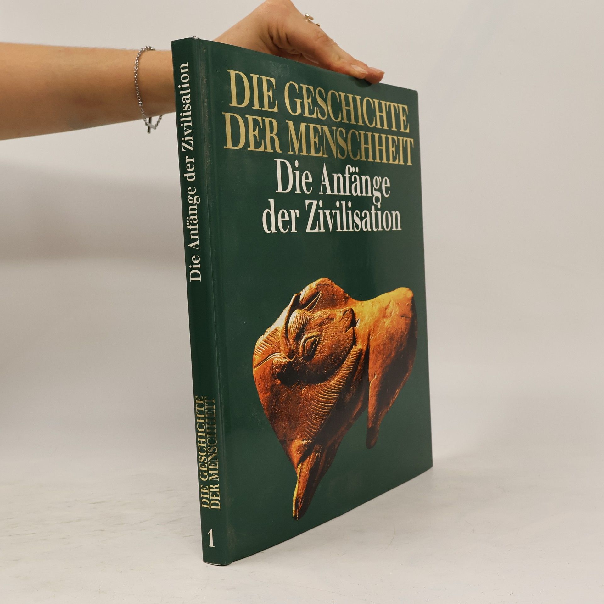 Kolektiv autorů Die Anfänge der Zivilisation