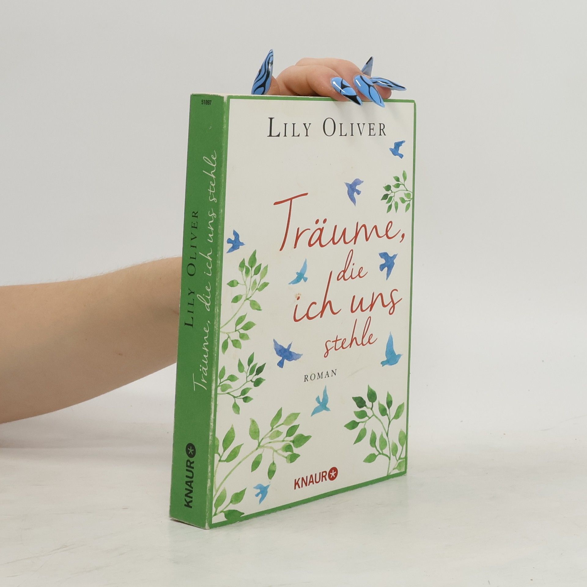 Lily Oliver Träume, die ich uns stehle