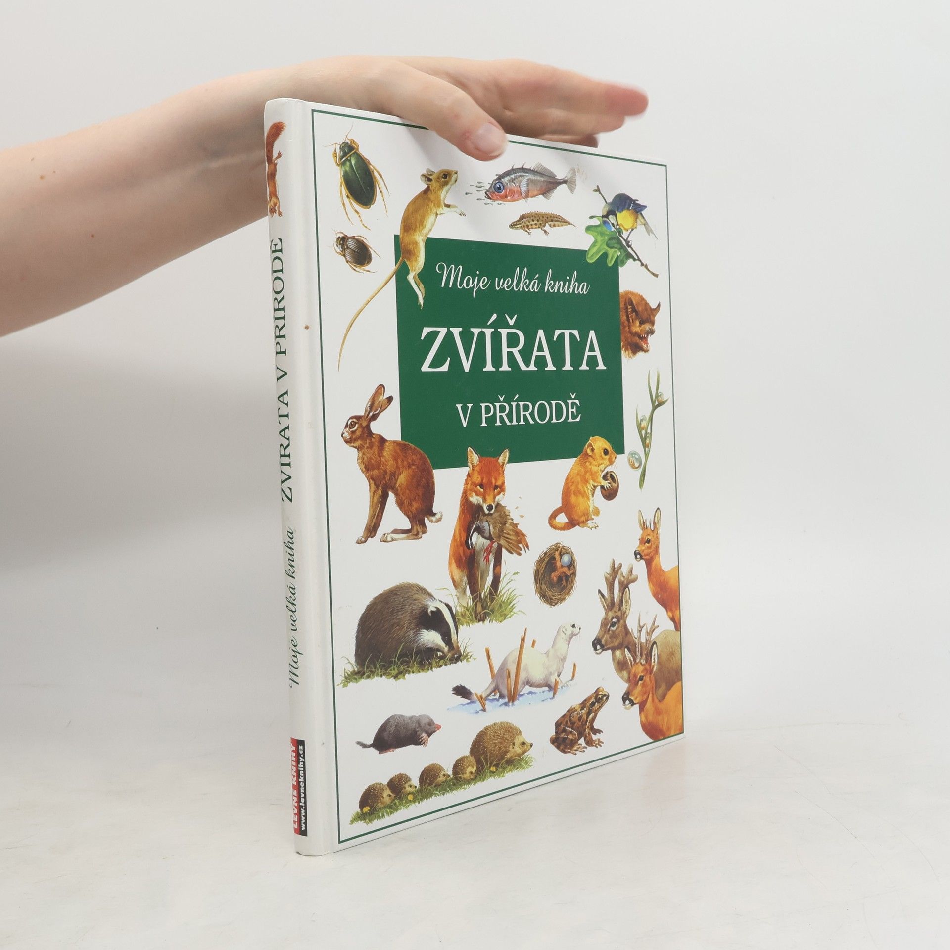 Kolektív autorov Zvířata v přírodě