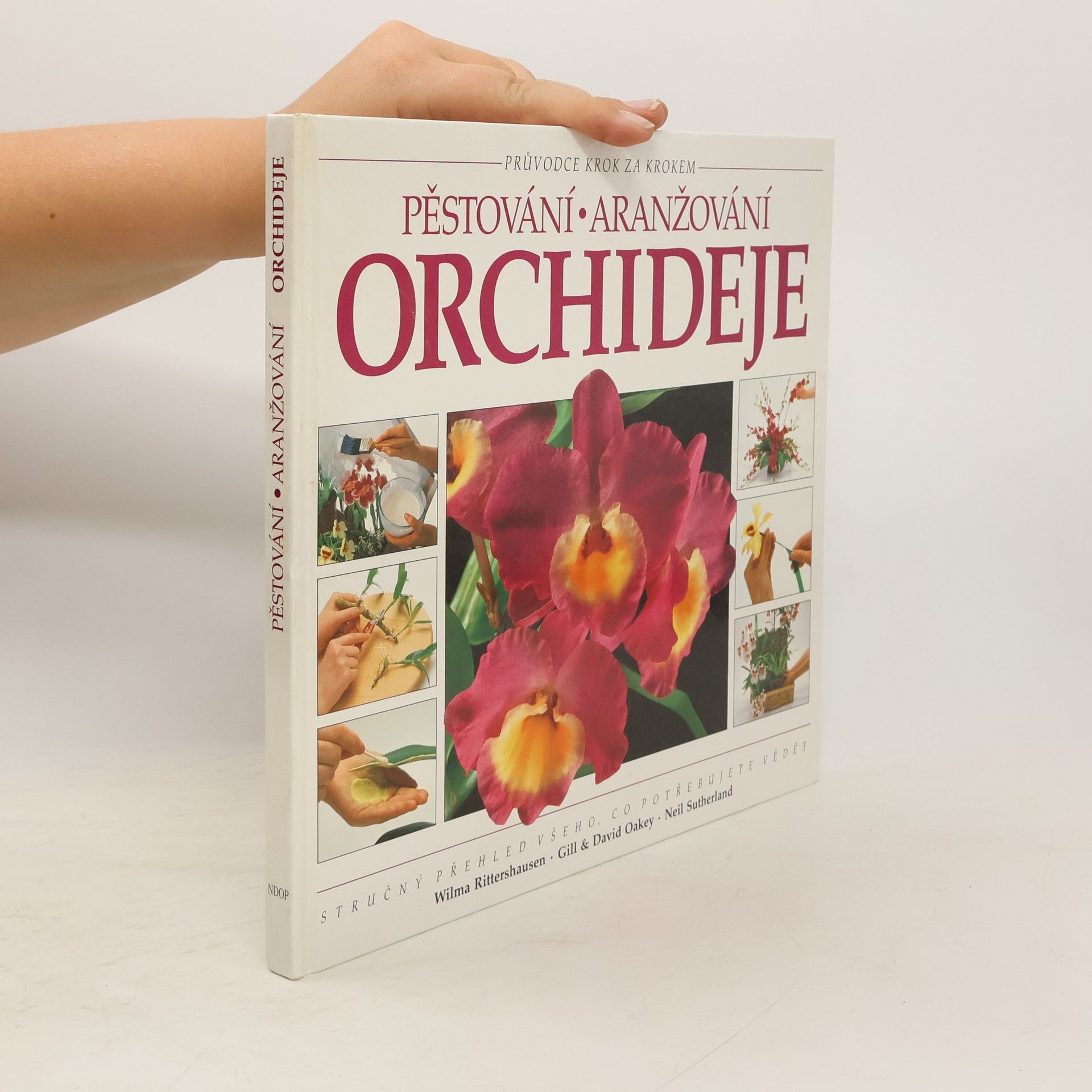 Autorenkollektiv Pěstování aranžování: Orchideje