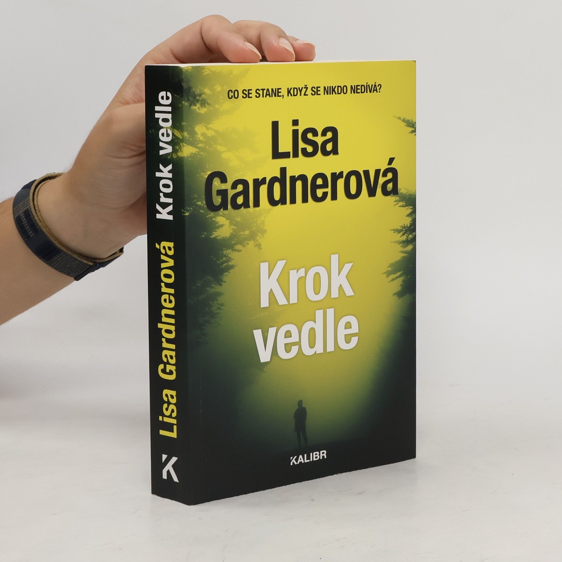 Lisa Gardner Krok vedle