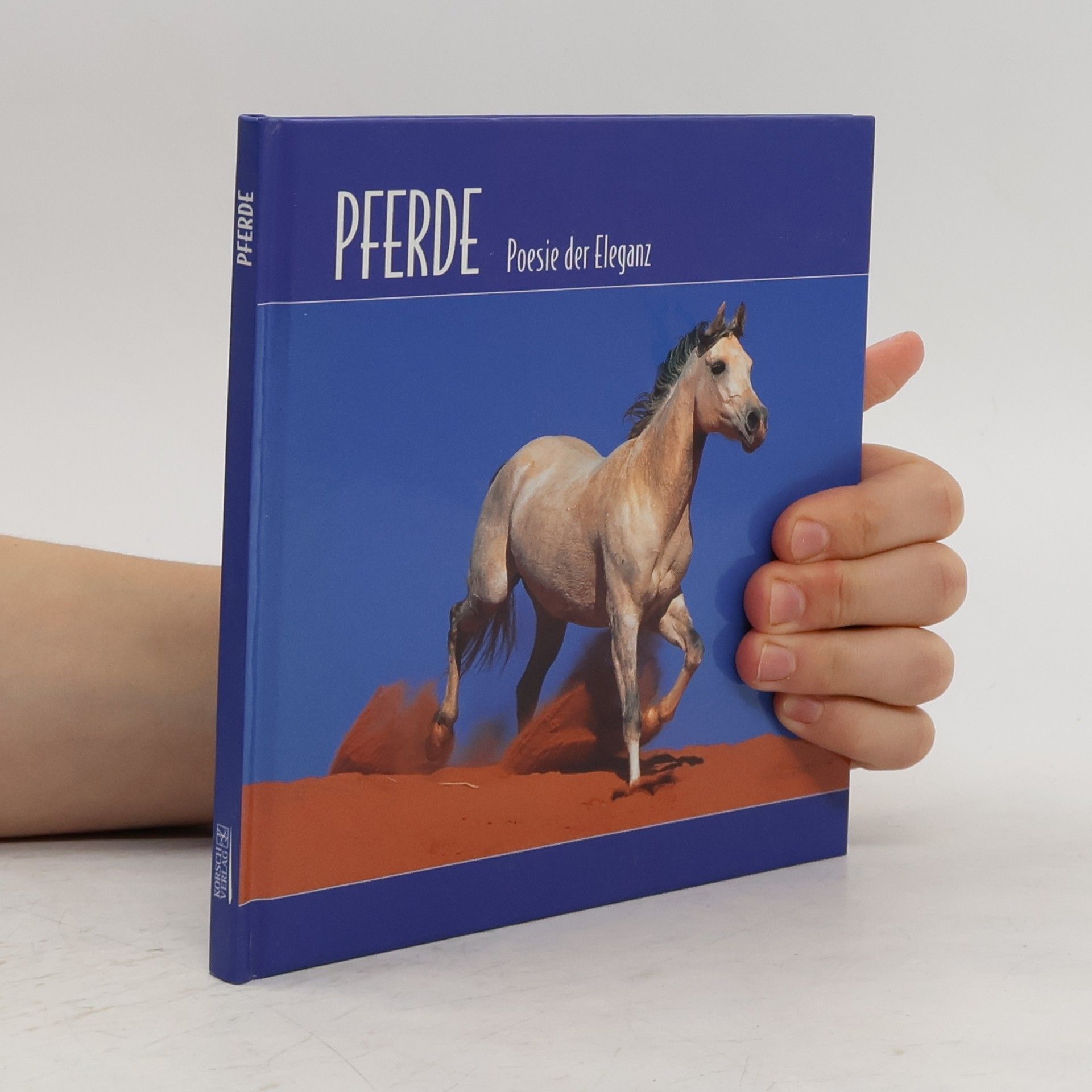 Autorenkollektiv Pferde