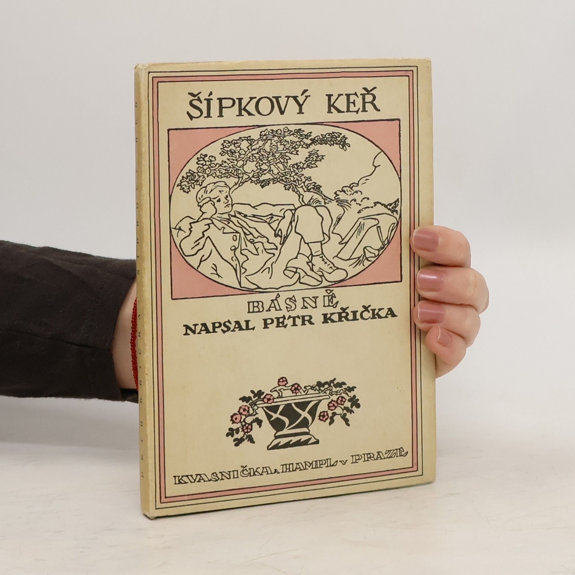 Petr Křička Šípkový keř