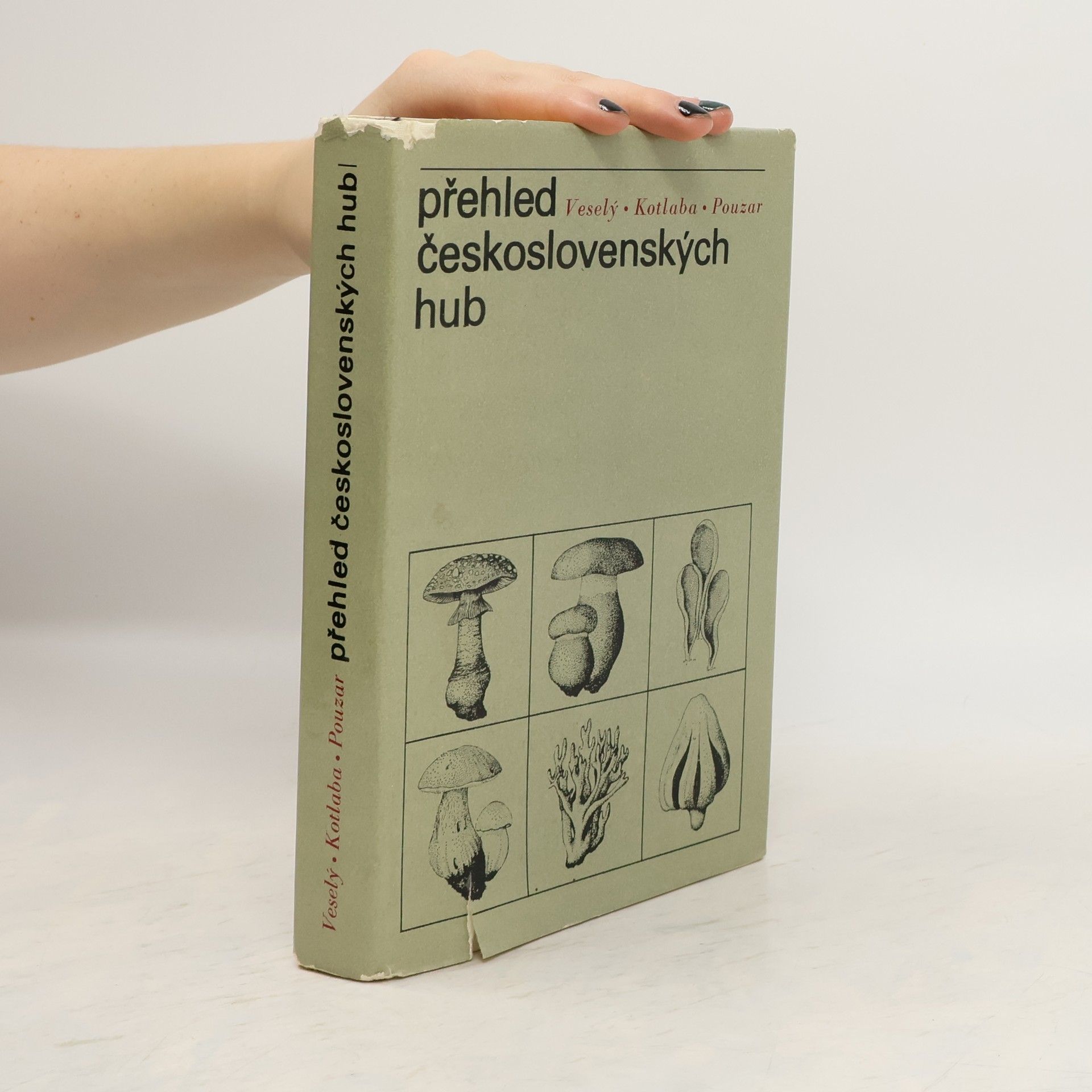 František Kotlaba Přehled československých hub