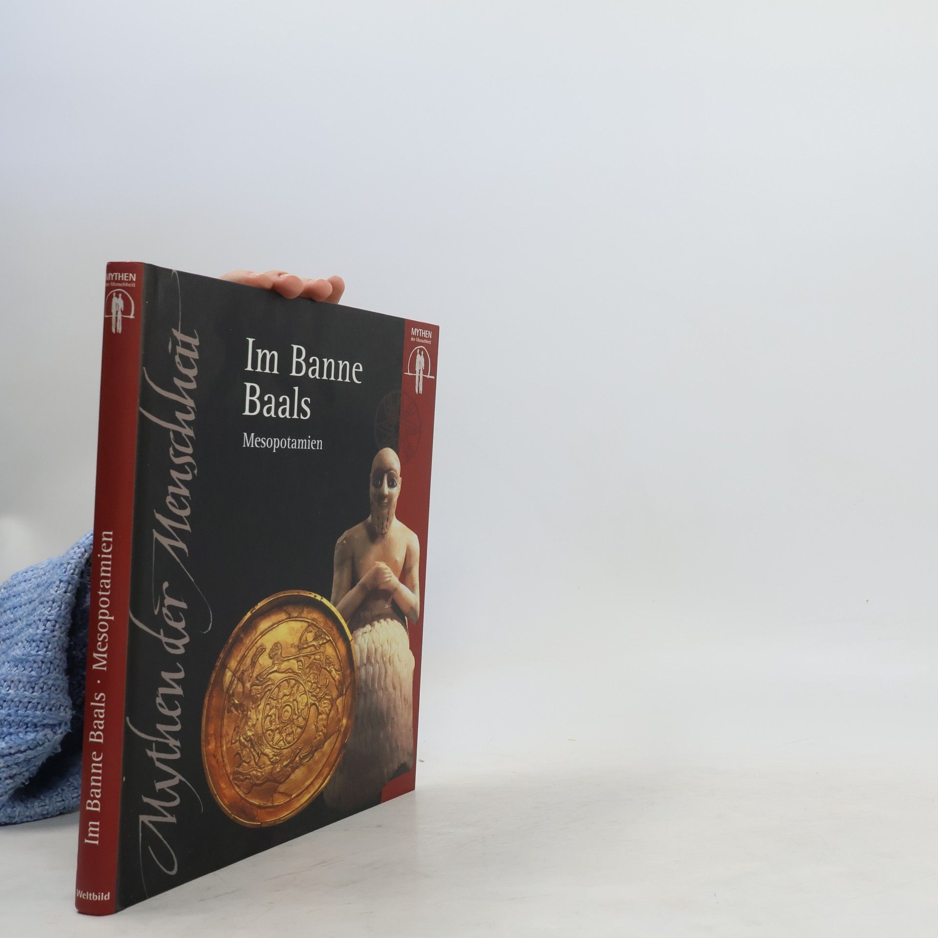 Collectif d'auteurs Im Banne Baals. Mesopotamien