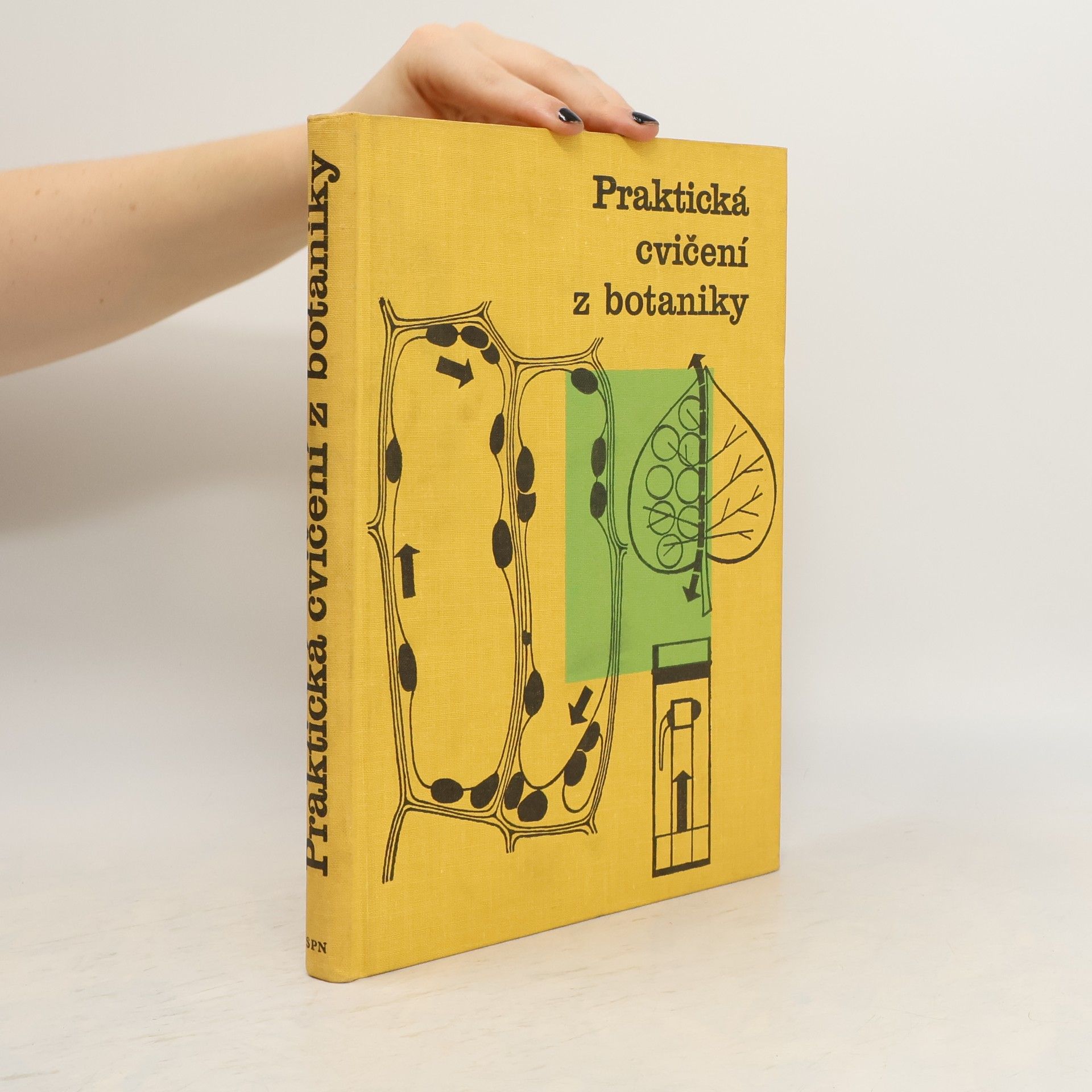 Collectif d'auteurs Praktická cvičení z botaniky pro pedagogické fakulty