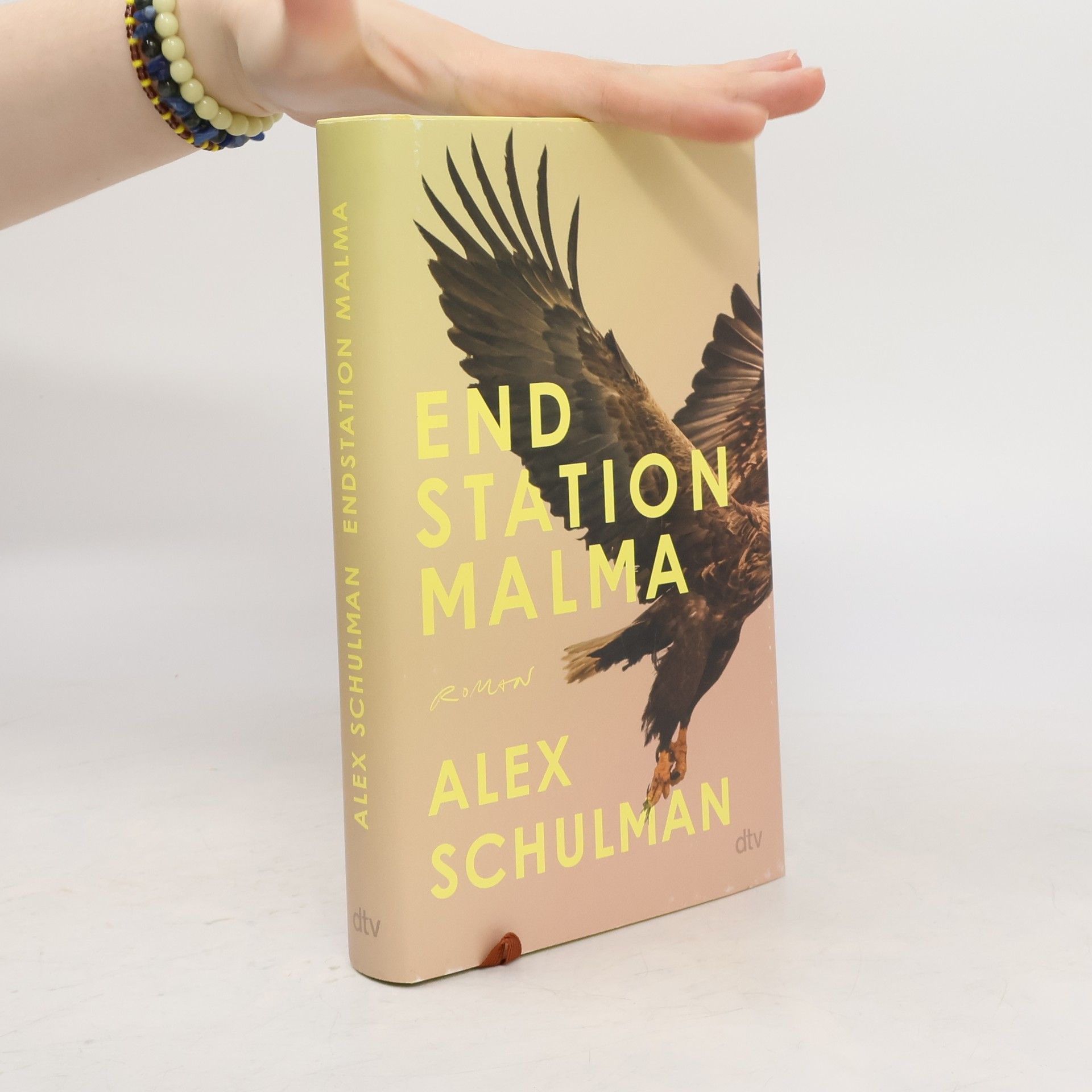 Alex Schulman Endstation Malma