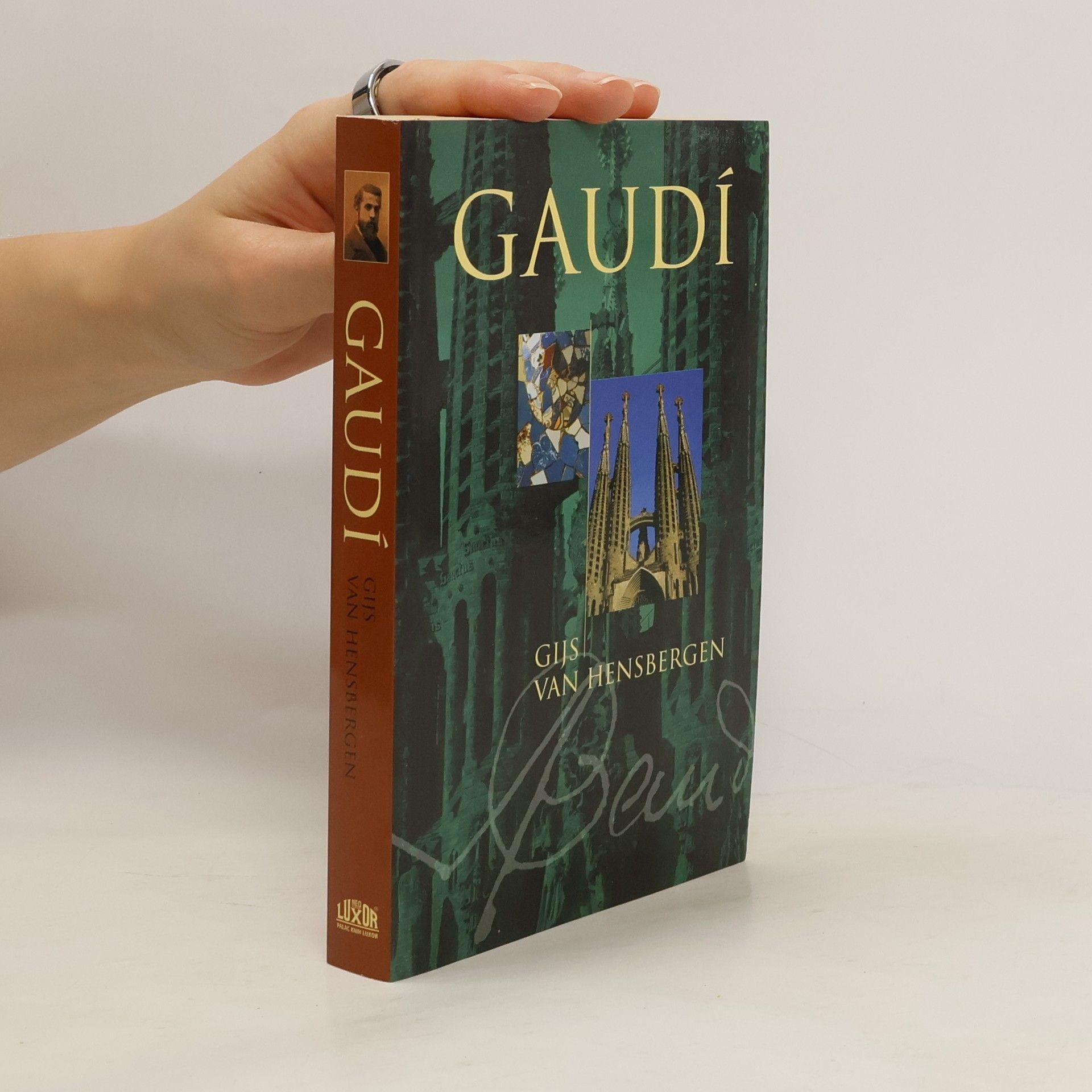 Gijs van Hensbergen Gaudí