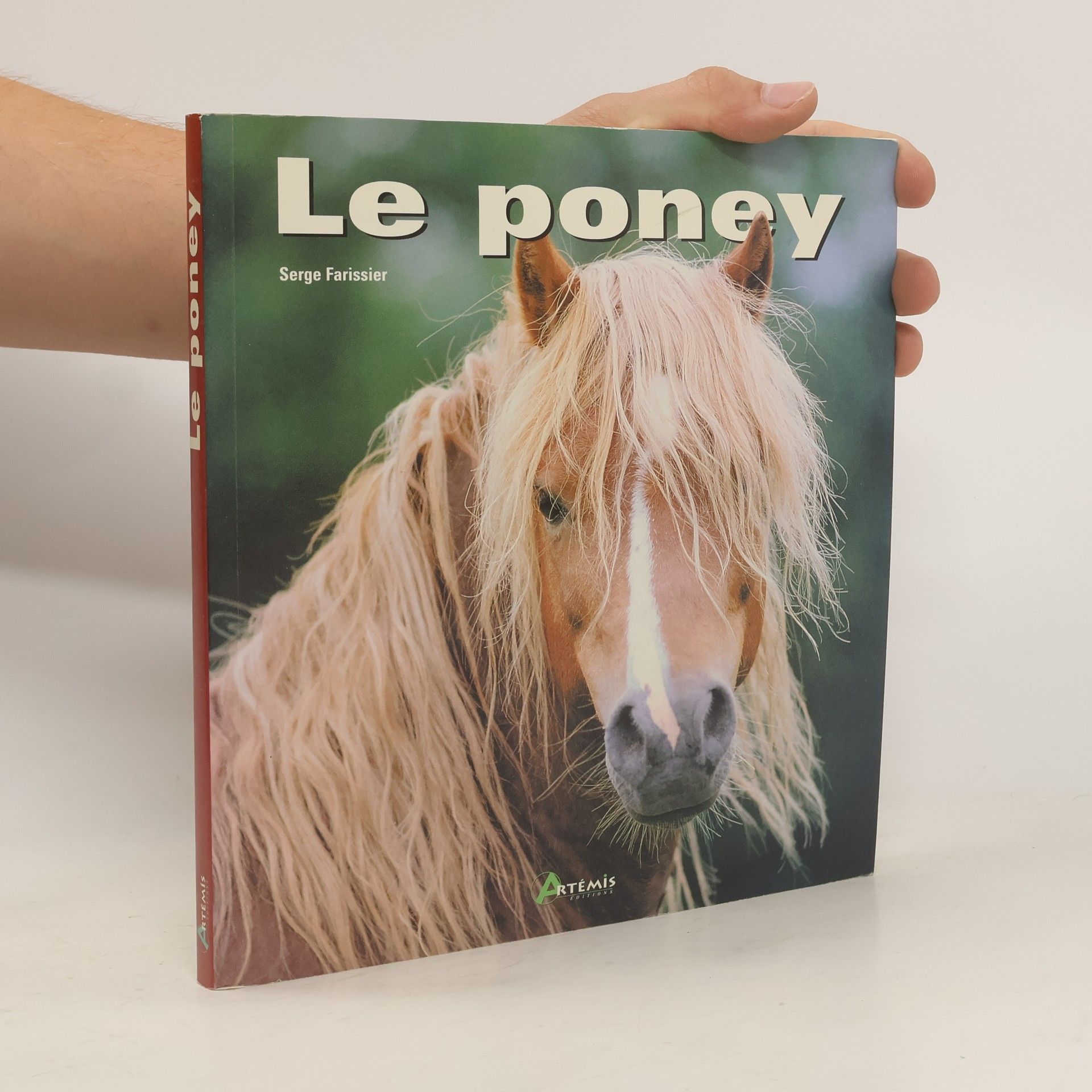 Serge Farissier Le poney