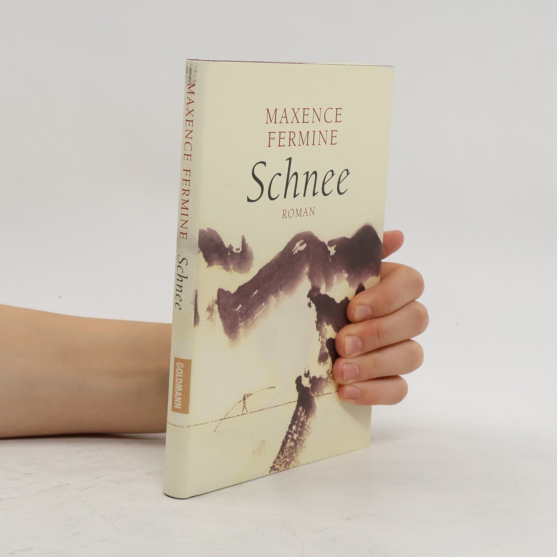Maxence Fermine Schnee