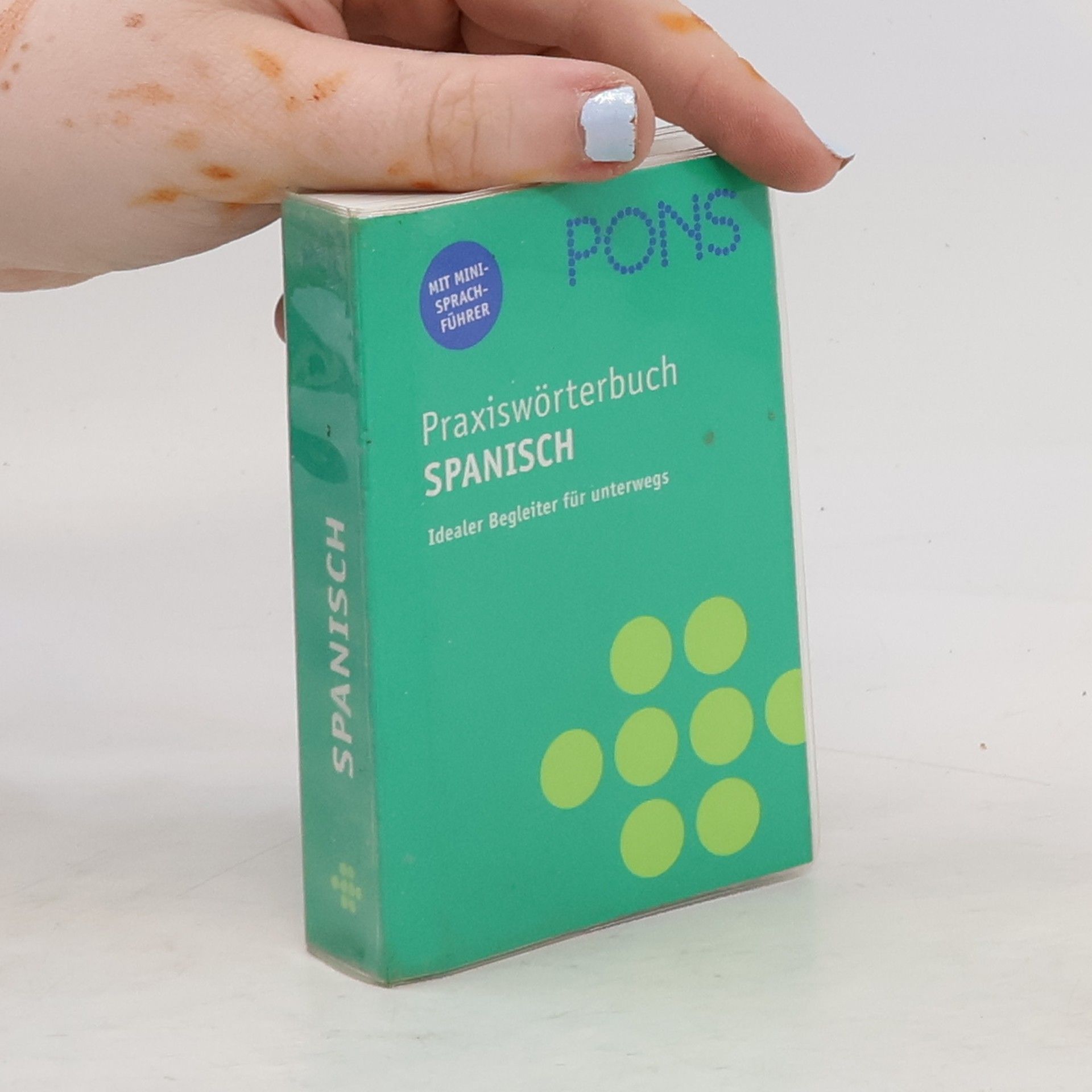 Antje Pesch PONS Praxiswörterbuch