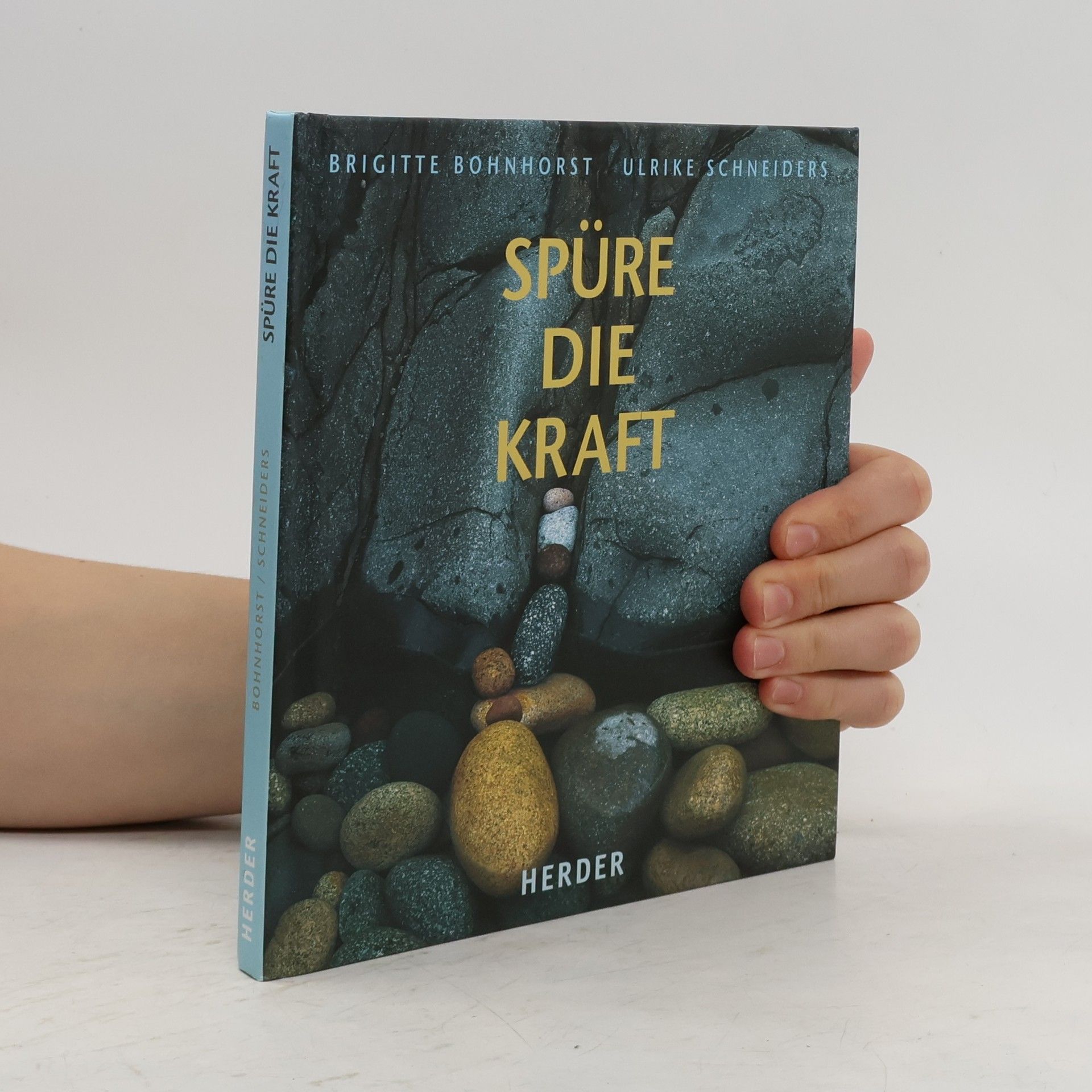 Brigitte Bohnhorst Spüre die Kraft