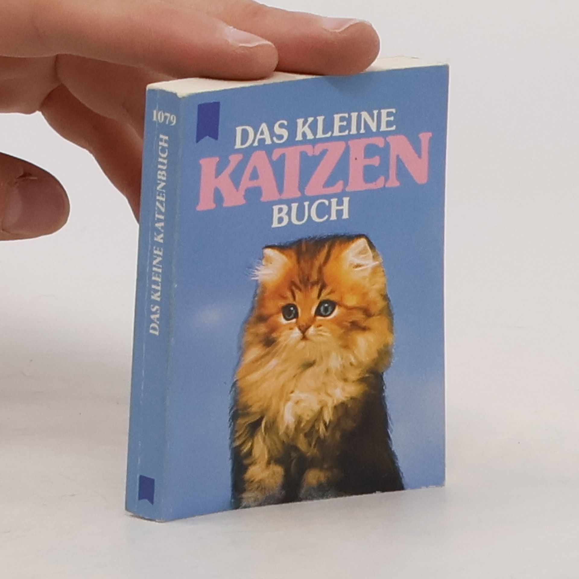 Collectif d'auteurs Das kleine Katzenbuch