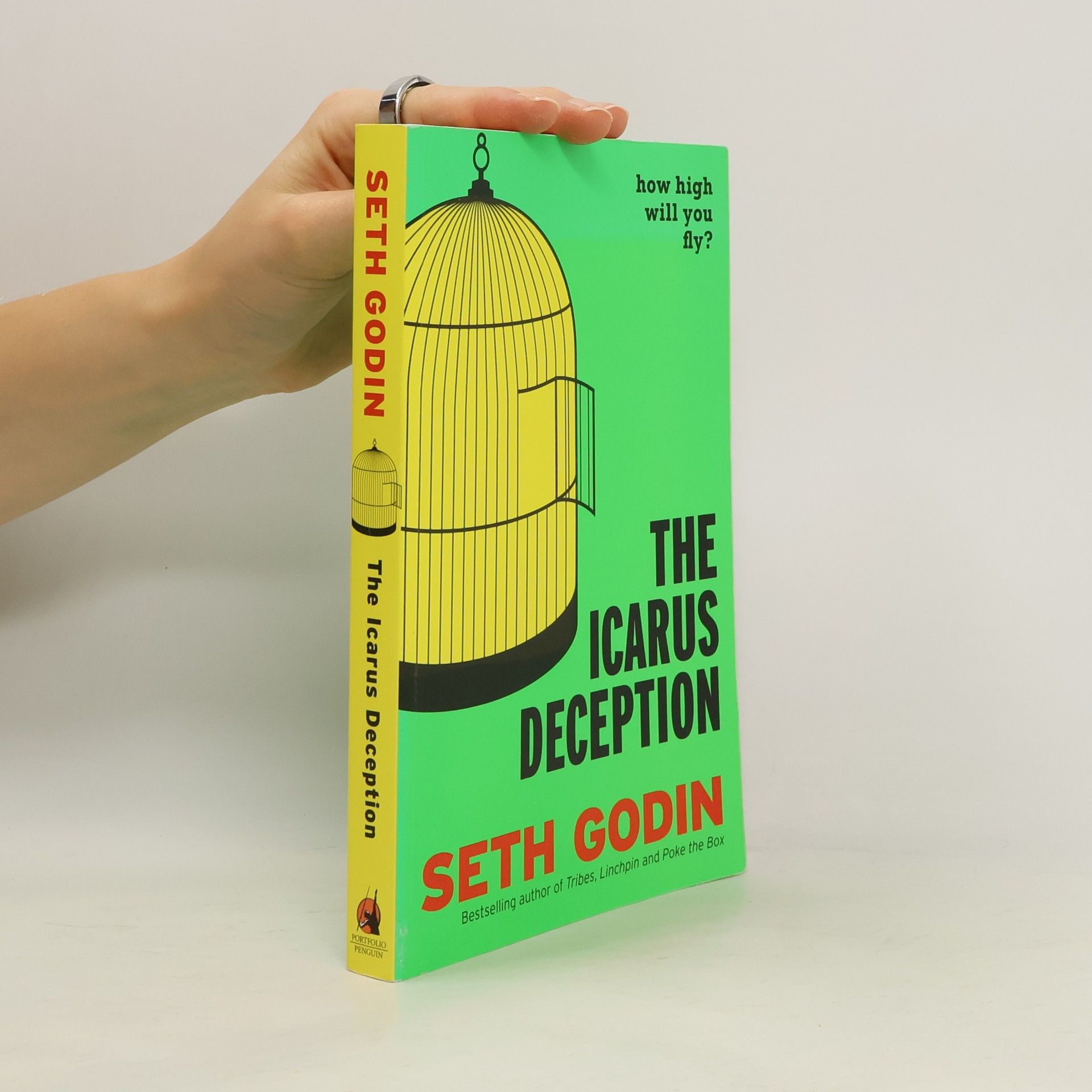 Seth Godin The Icarus Deception