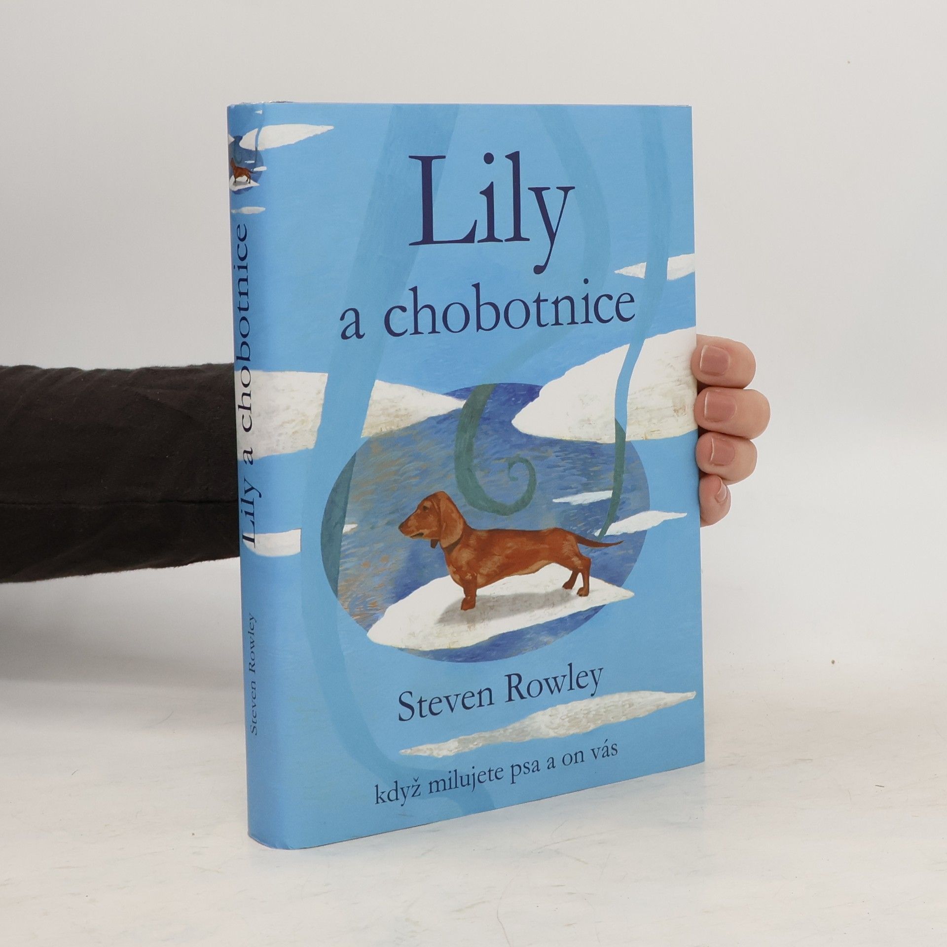 Steven Rowley Lily a chobotnice: Když milujete psa a on vás