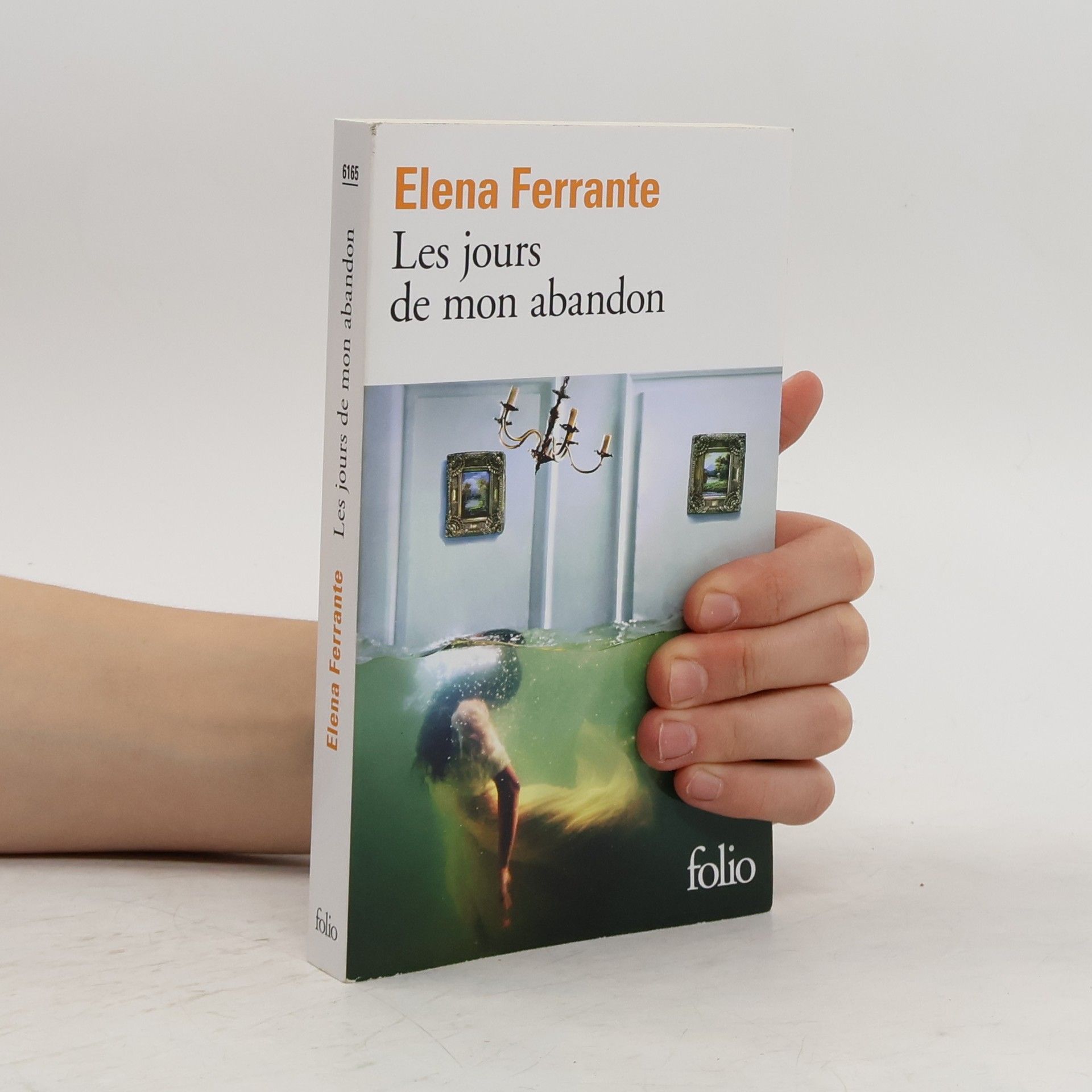 Elena Ferrante Les jours de mon abandon