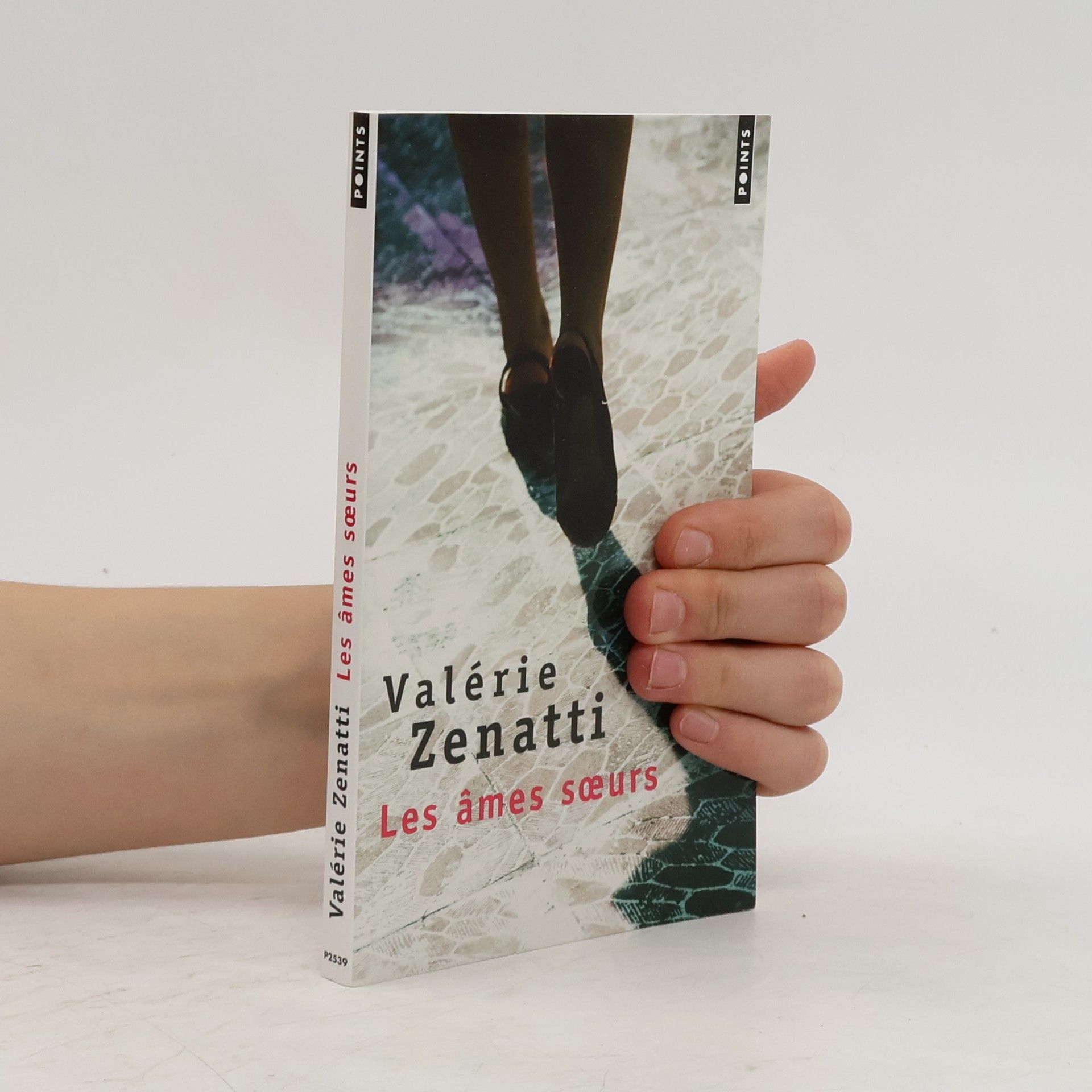 Valérie Zenatti Les âmes soeurs
