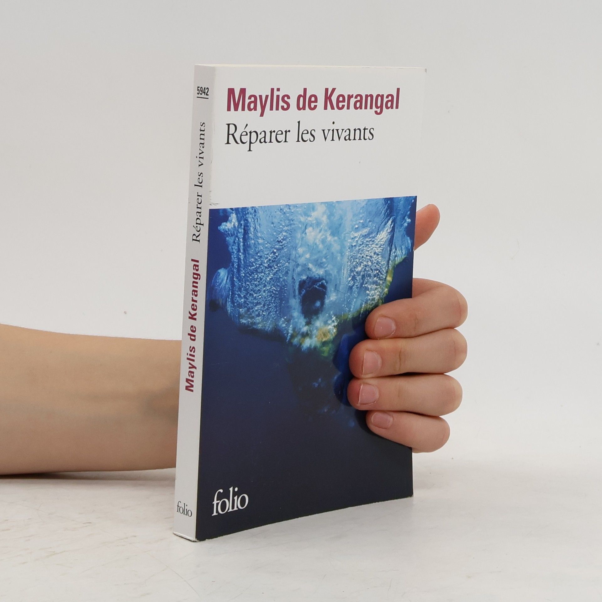 Maylis de Kerangal Réparer les vivants