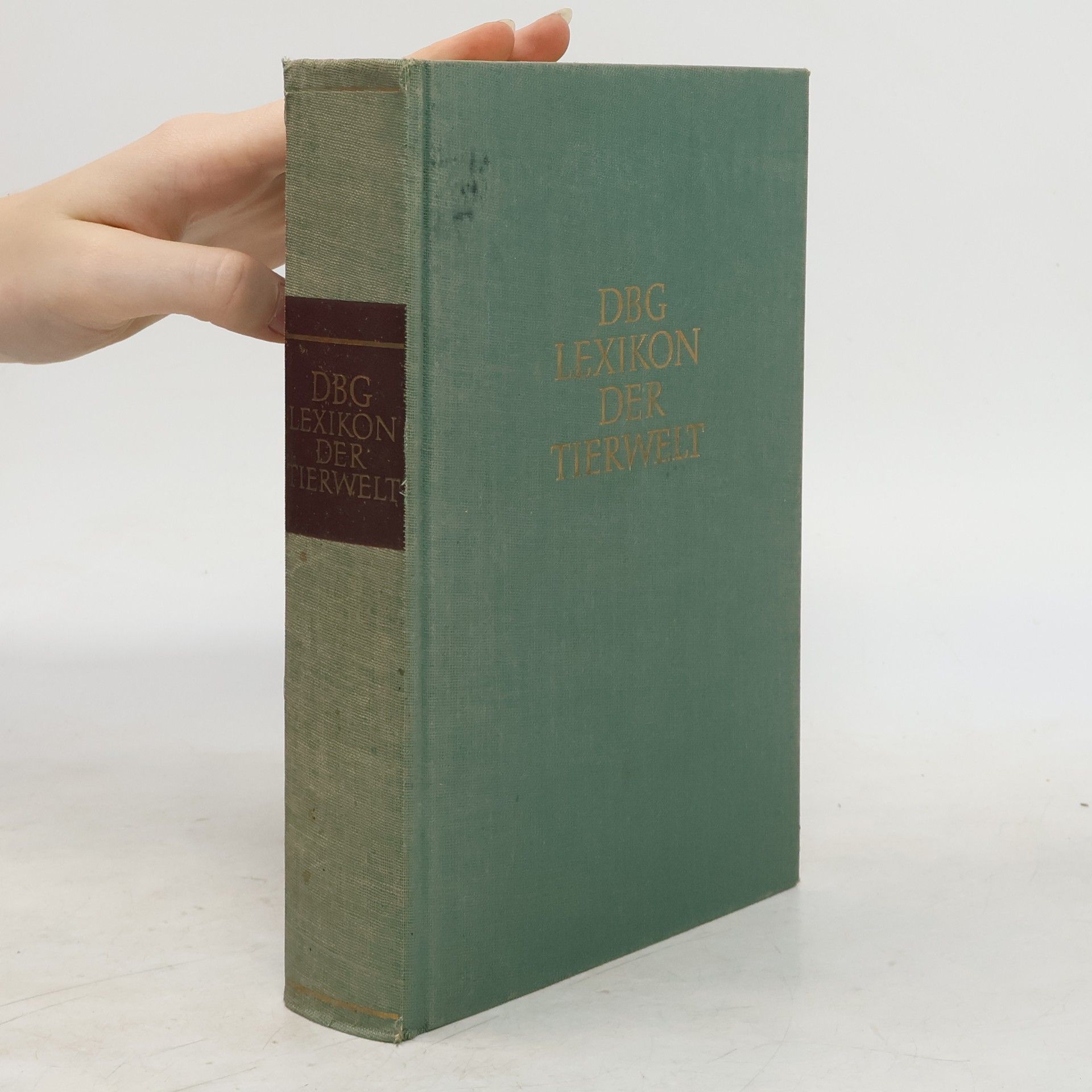 Collectif d'auteurs DBG Lexikon der Tierwelt