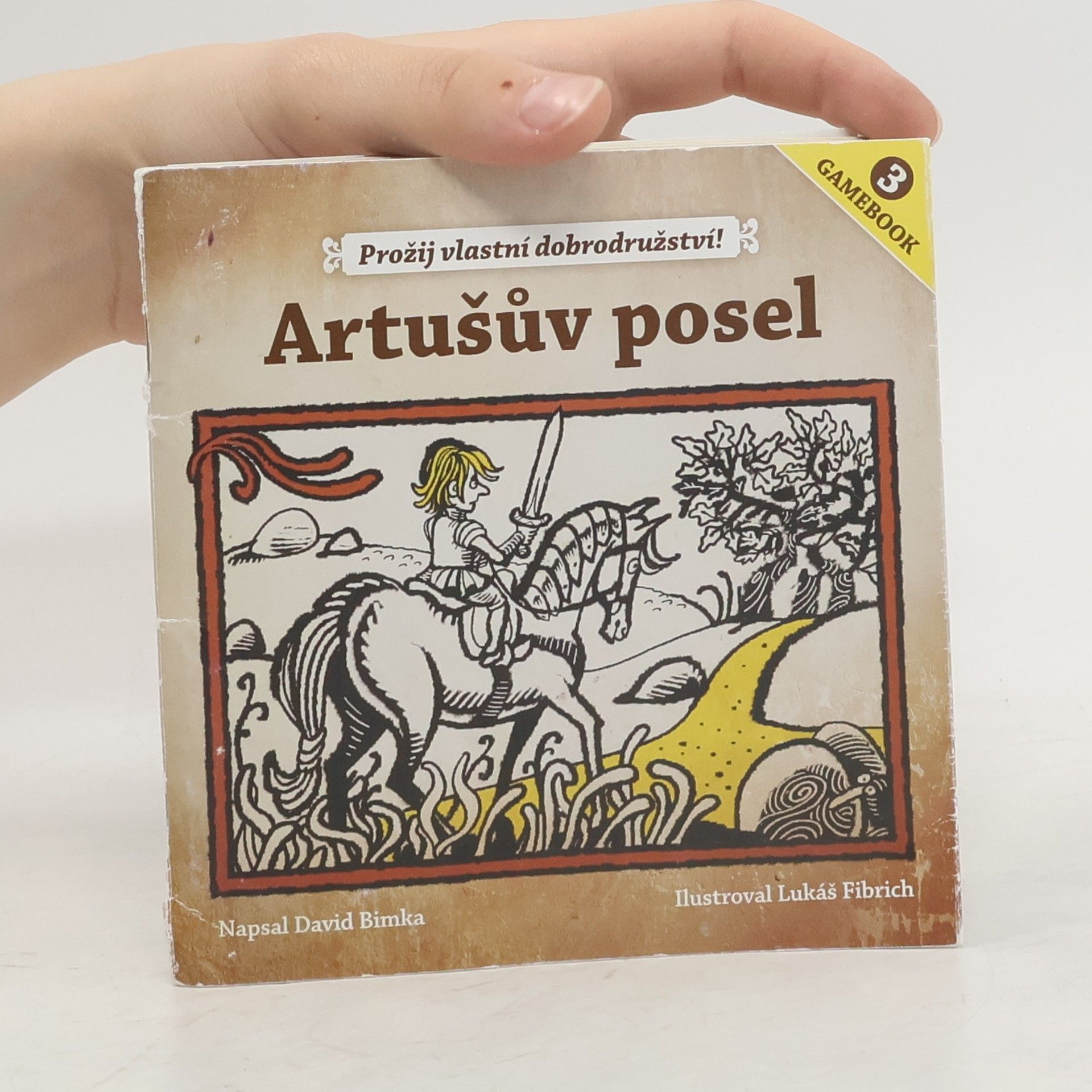 David Bimka Artušův posel