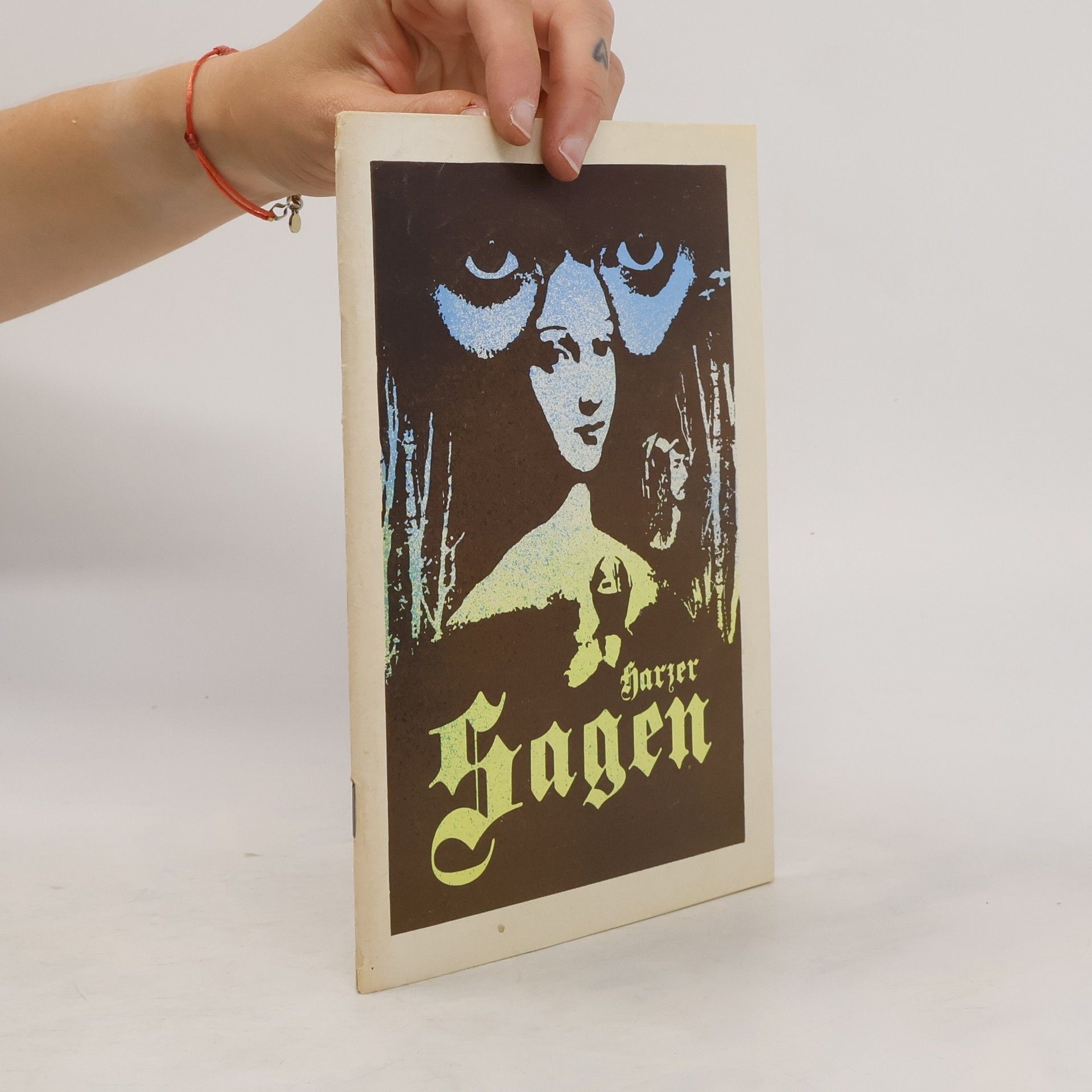 Collectif d'auteurs Harzer Sagen