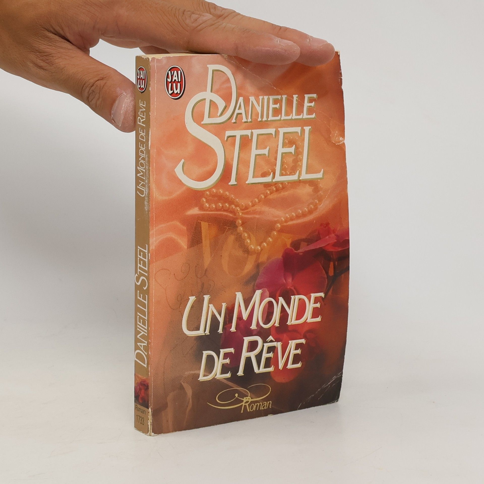 Danielle Steel Un monde de rêve