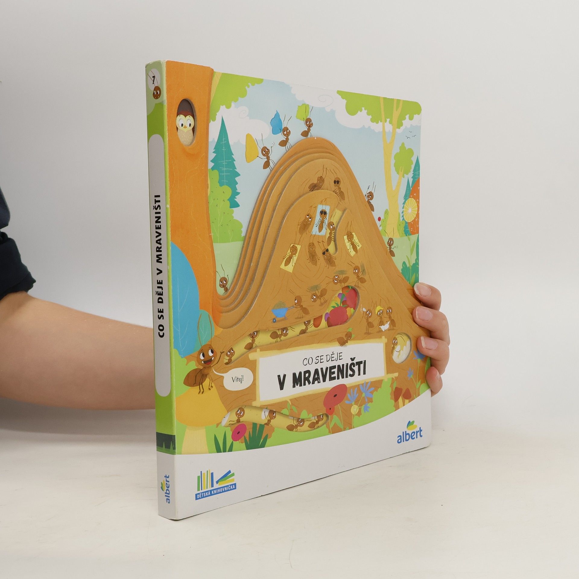 Collectif d'auteurs Co se děje v mraveništi